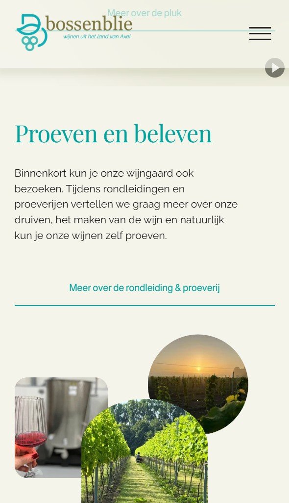 De afbeelding toont de website van Bossenblie, een wijngaard. Website gemaakt door Wepzz recente project