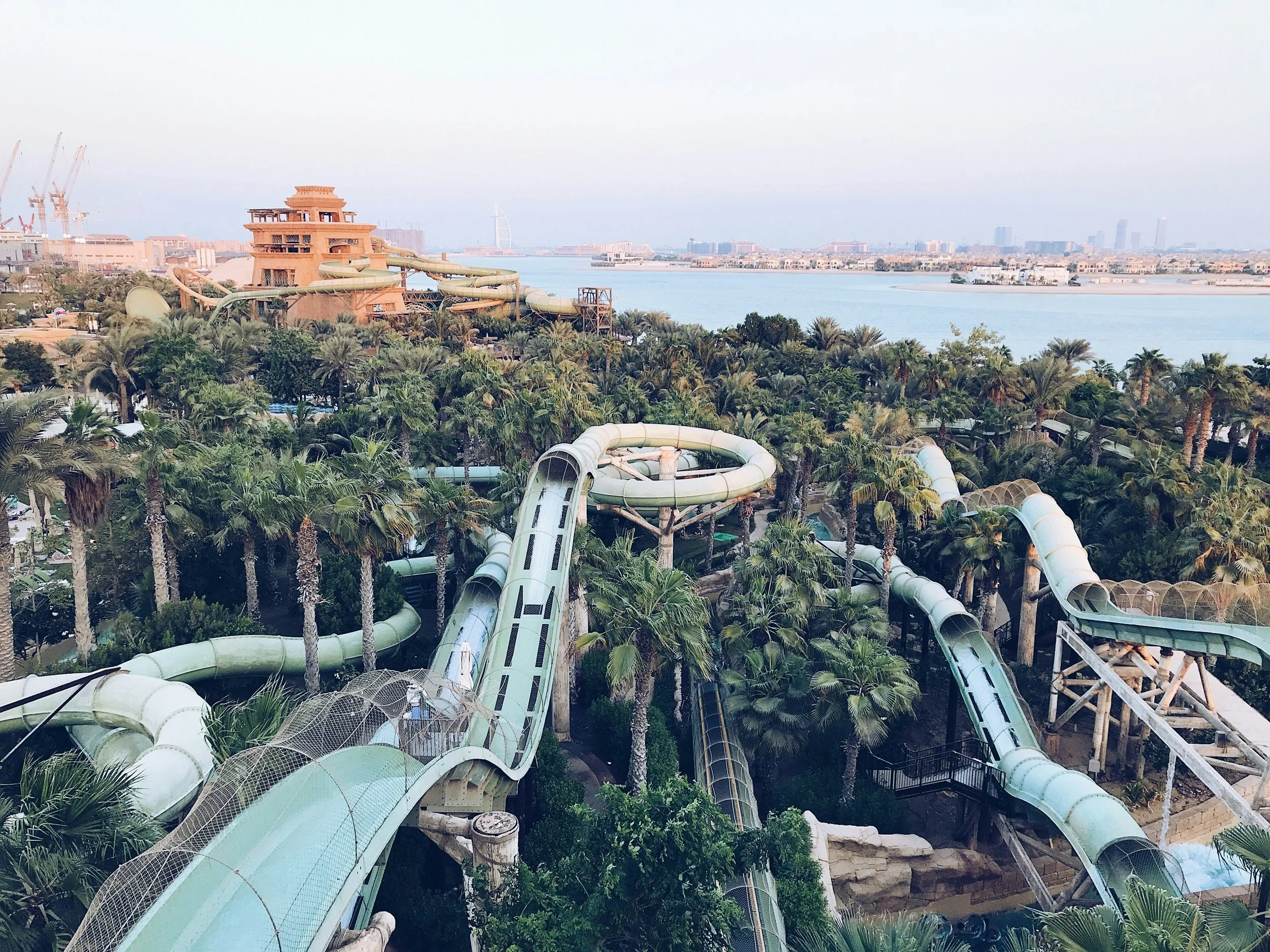Overview of a water park with twisting slides and palm trees, set near a waterfront with city buildings in the distance.