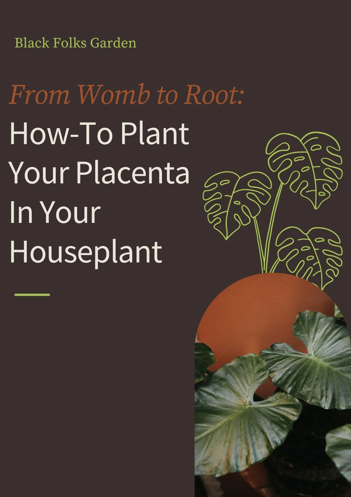From Womb to Root: Plant Your Placenta in Your Houseplant Guide