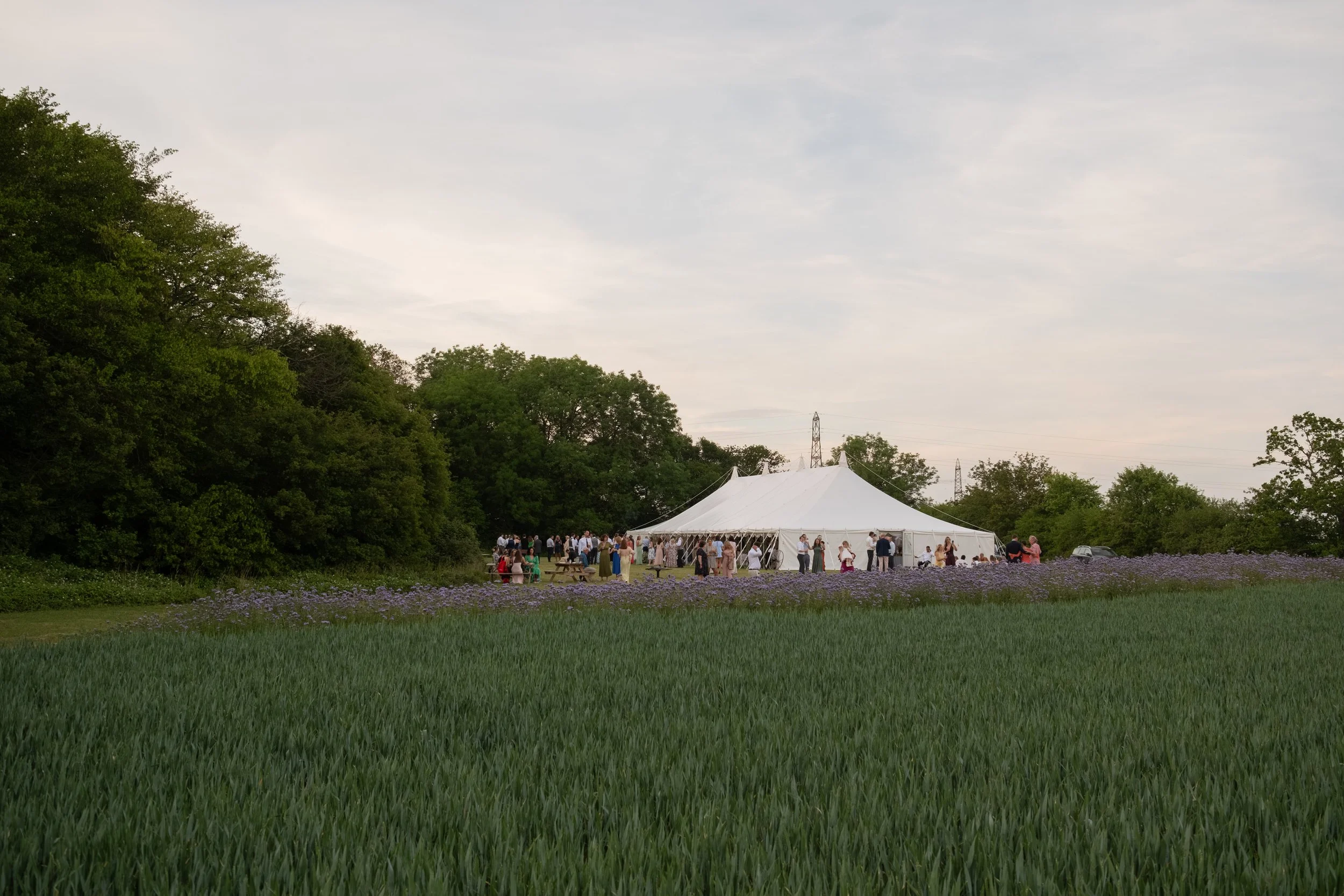 People gathering at an outdoor event around a large white tent in a grassy area with trees and purple flowers, under a cloudy sky.