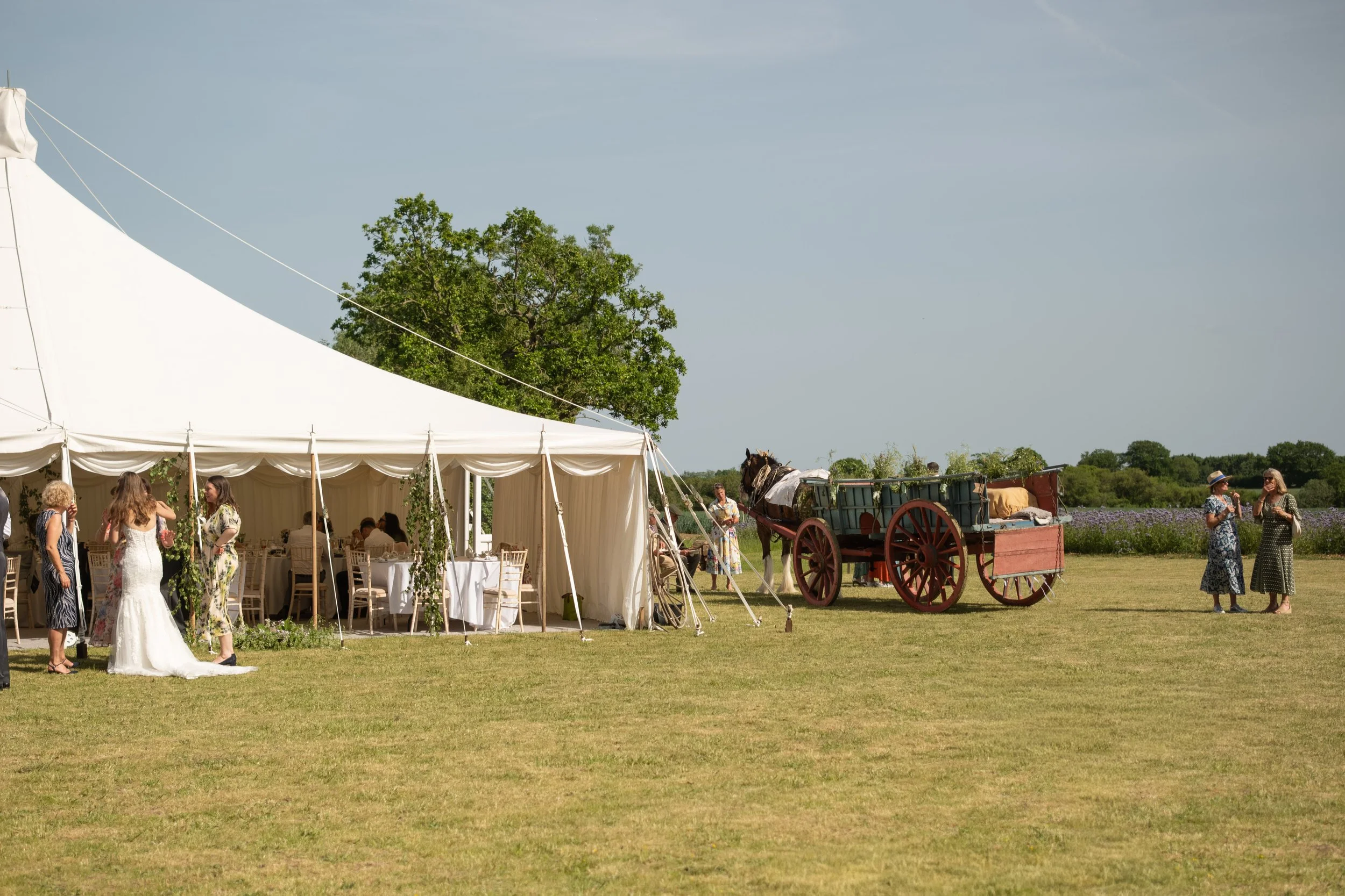 A white event tent on a grassy field with people gathered inside and around, some dressed in semi-formal attire, with a vintage horse-drawn wagon nearby and a large green tree in the background under a blue sky.