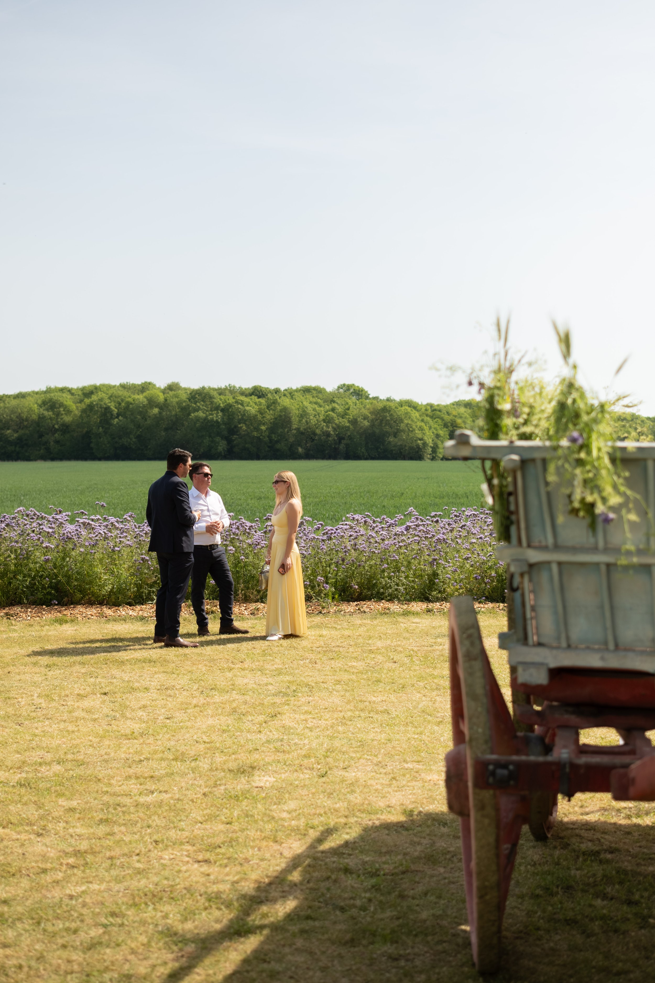 Three people standing in a field with purple flowers, a green field, and a treeline in the background, with a rustic cart filled with plants on the right side.