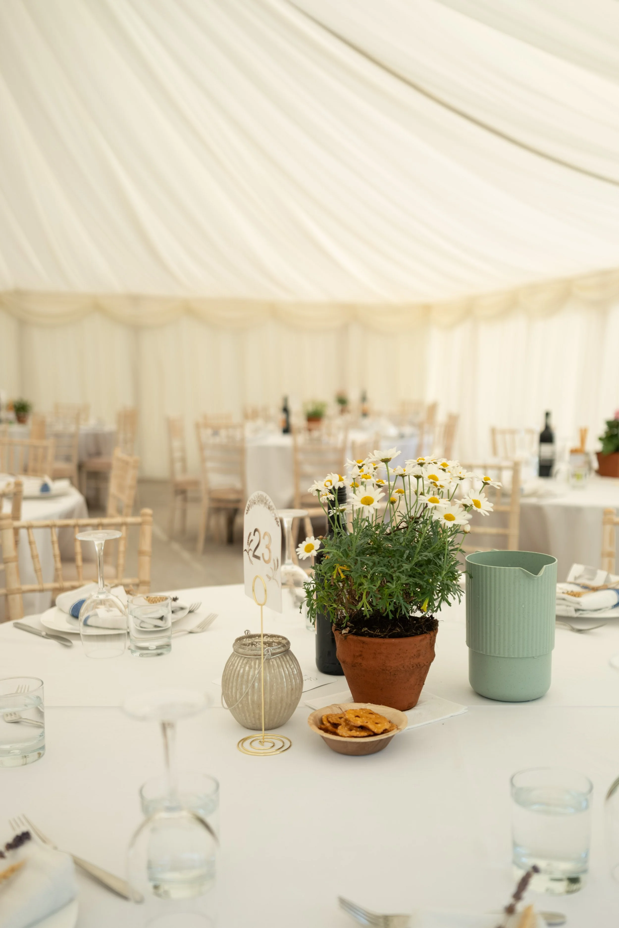 A decorated banquet table with a potted white daisies, glassware, plates, utensils, and a bowl of cookies, in a large event space with round tables and chairs, cream-colored draped ceiling, and a neutral-colored backdrop.