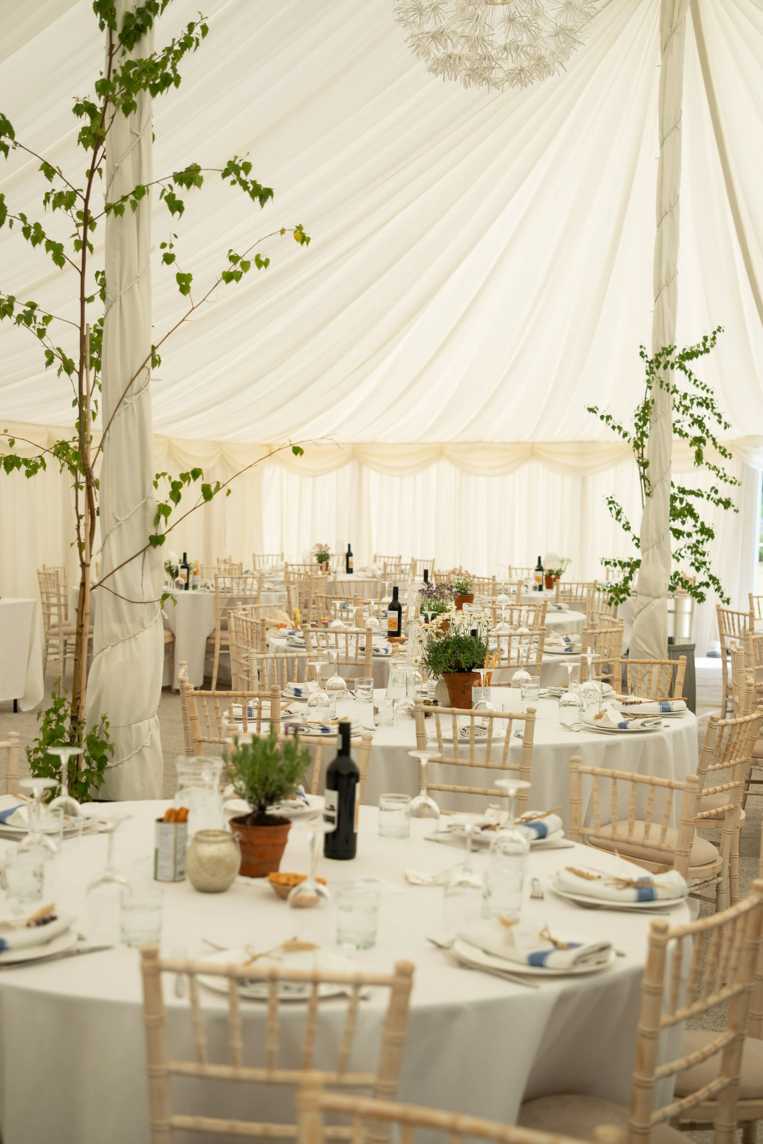 Wedding reception tent decorated with white draping, round tables with white tablecloths, chairs, and centerpieces of flowers and plants. Green vines grow around the tent poles and ceiling lighting is visible.