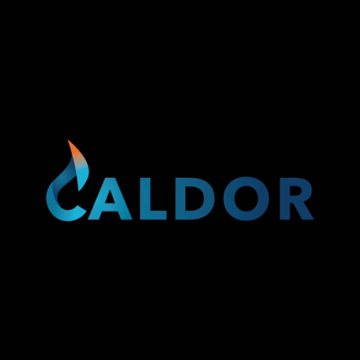 Caldor logo with a stylized flame in blue and orange above the word 'CALDOR' in blue text on a black background