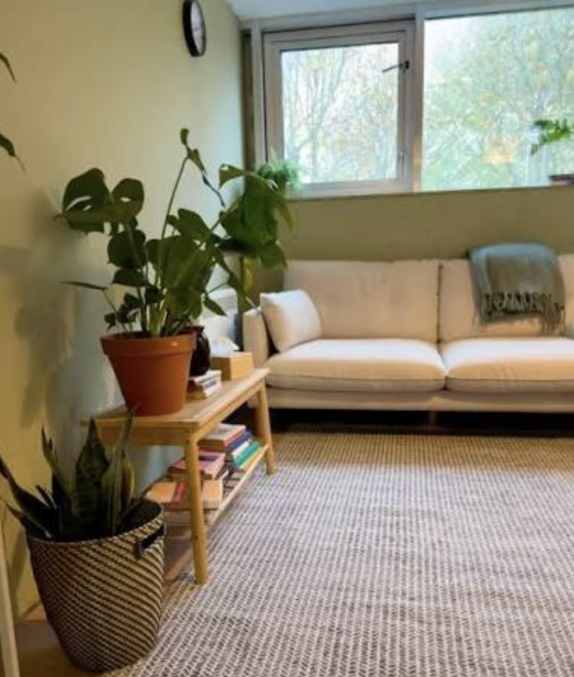 Living room with beige sofa, wooden side table with potted plant, bookshelf with books, large window with green scenery outside, wall clock, and beige rug.