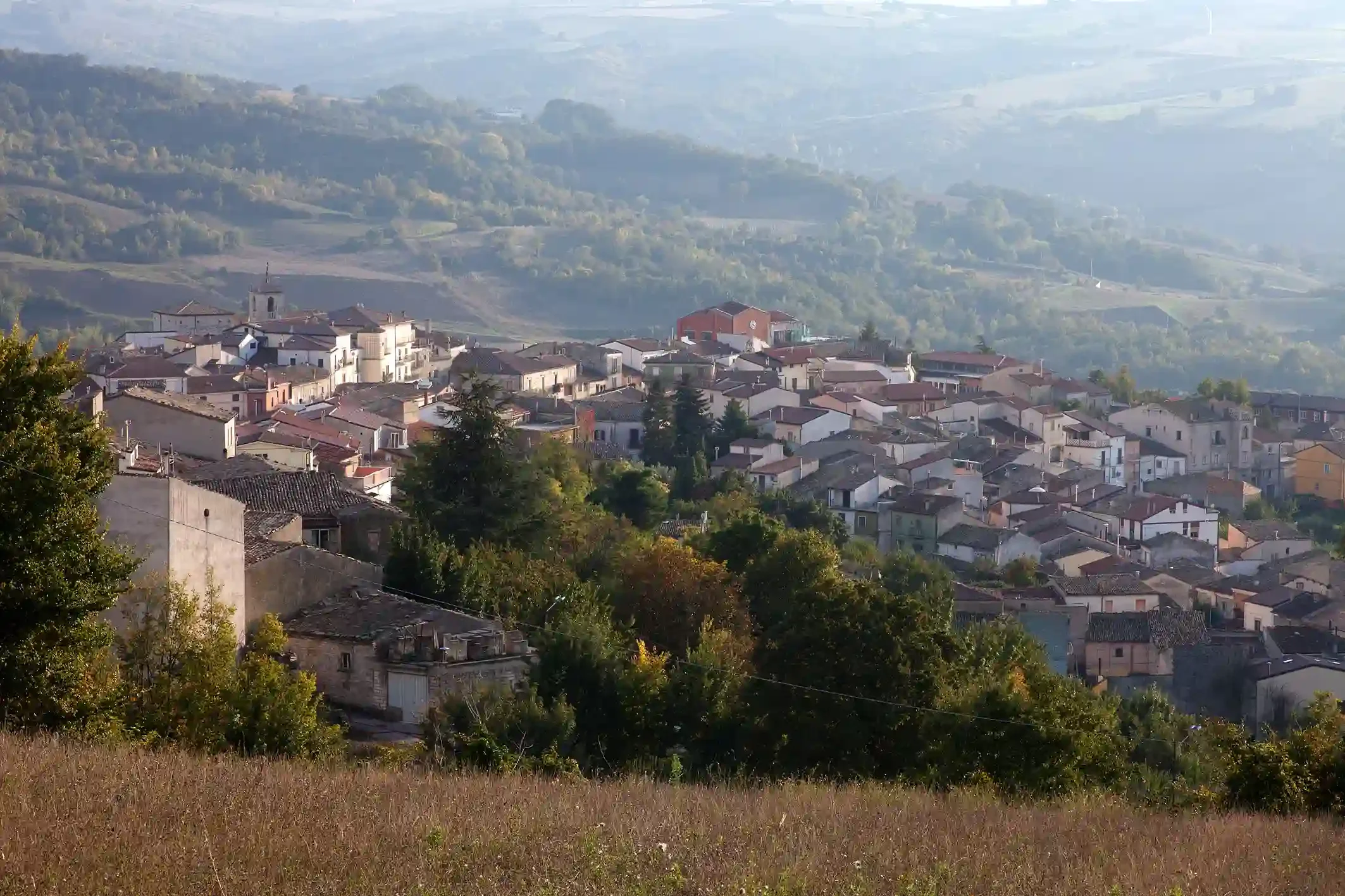 A hillside town with numerous houses and buildings, surrounded by green trees and rolling hills in the background.
