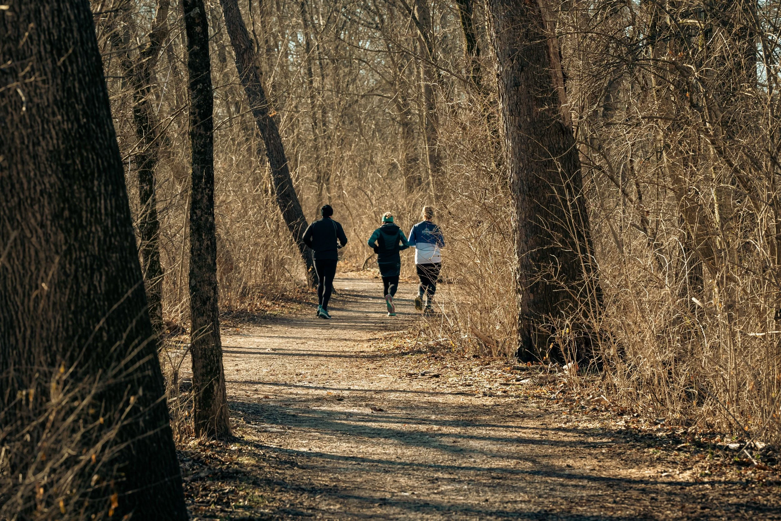 Three people jogging on a dirt trail through a wooded area with tall trees and bare branches.