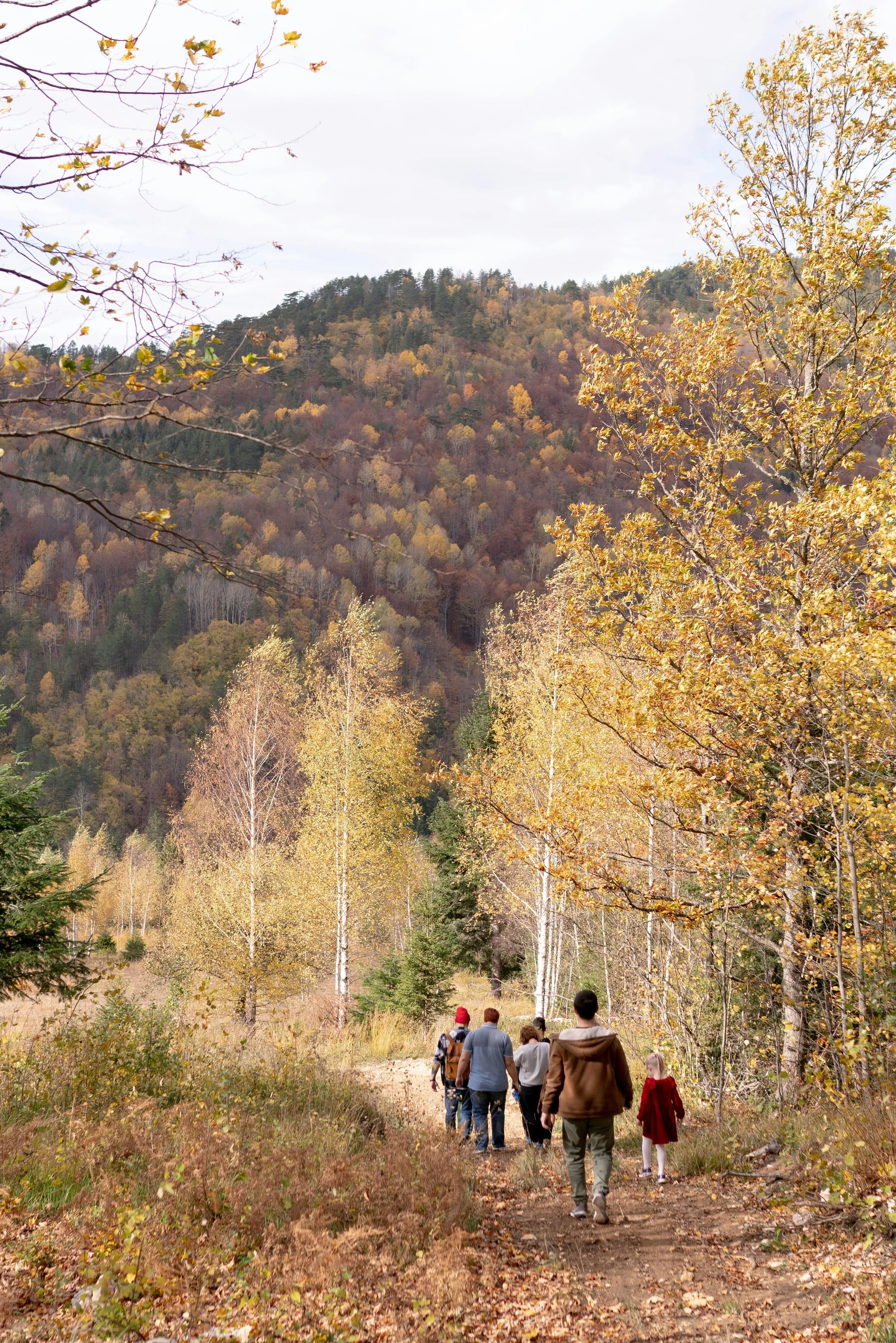 Group of people walking on a dirt trail through a forest during fall, with trees displaying yellow and orange leaves and a hill in the background.
