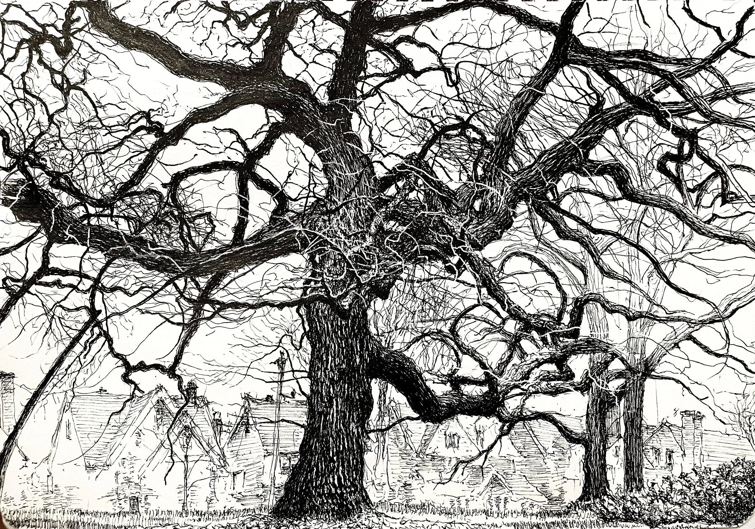 "Queen of the Green",  pen & ink,  10" x 7",  2025
