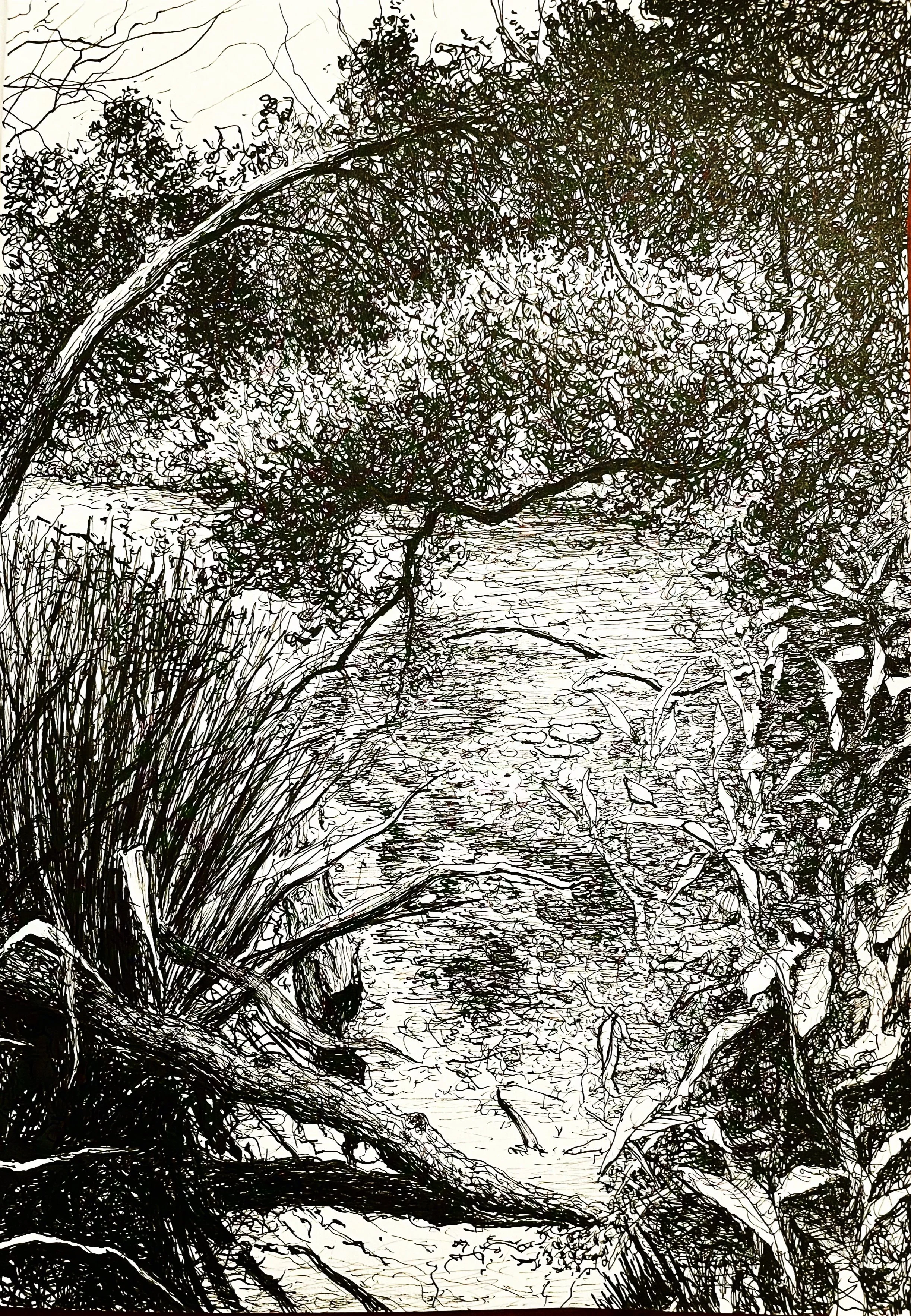 "Pond Along the Bluff",  pen & ink,  7 3/4" x 10 3/4",  2023