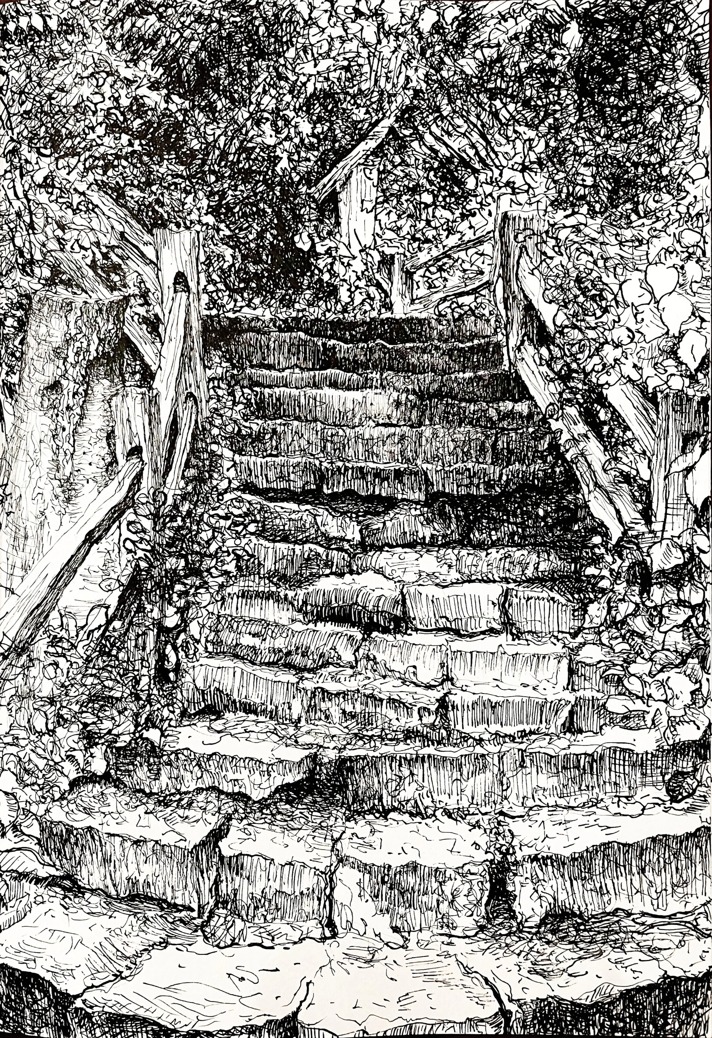 "Escarpment Stair",  pen & ink,  7 3/4" x 10 3/4",  2023