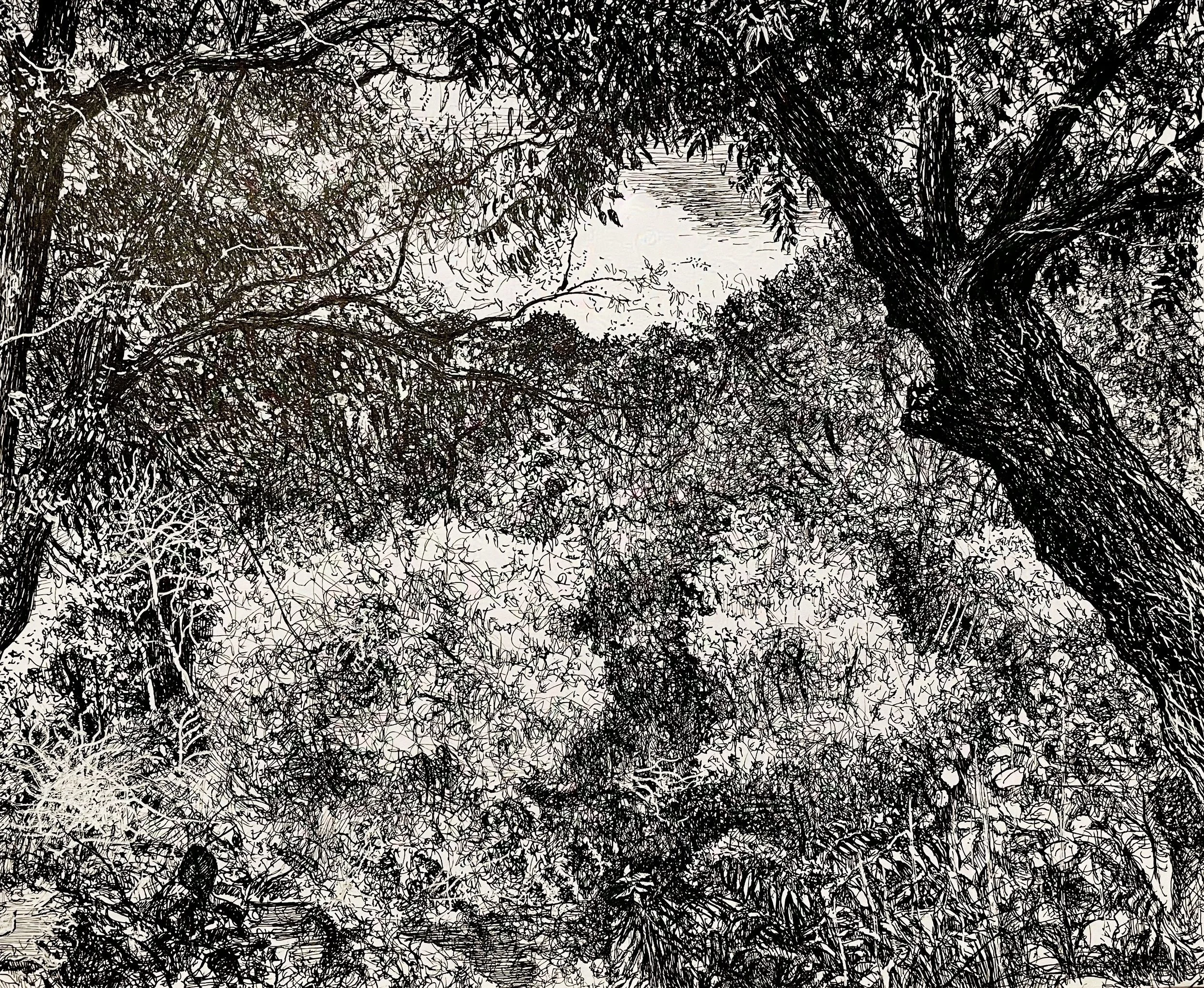 "Looking Across the River",  pen & ink,  10 1/2" x 8 1/2",  2024