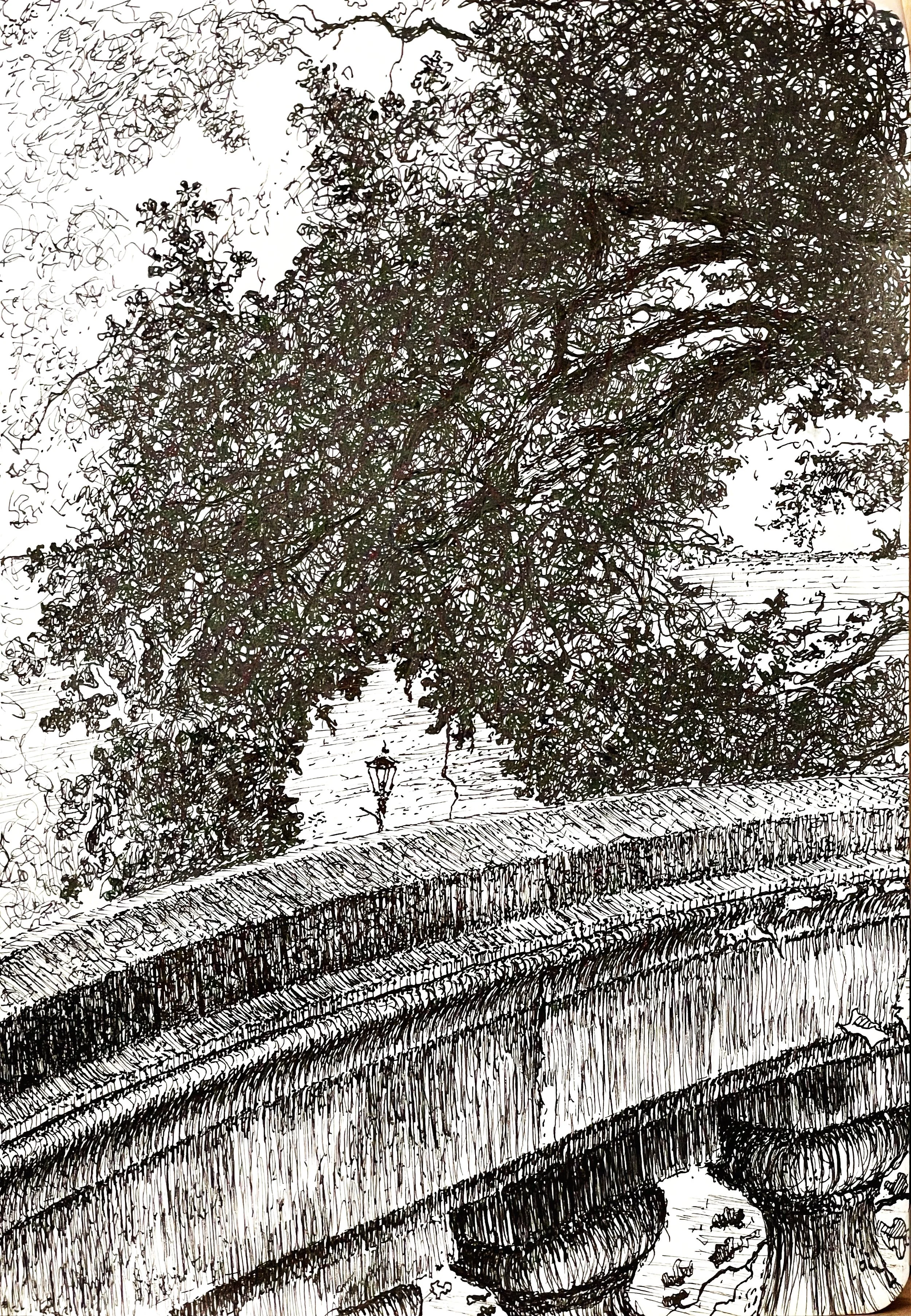 "Mendota Terrace",  pen & ink,  7" x 10",  2025