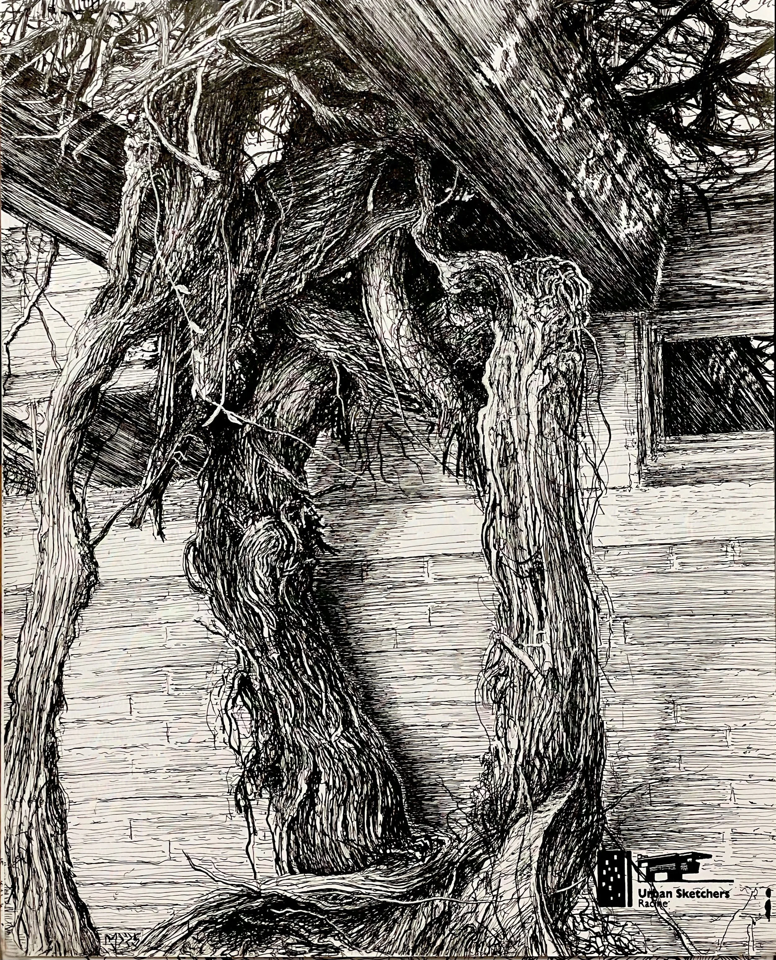 "Grapevines at Wingspread",  pen & ink,  8 1/2" x 10 1/2",  2025