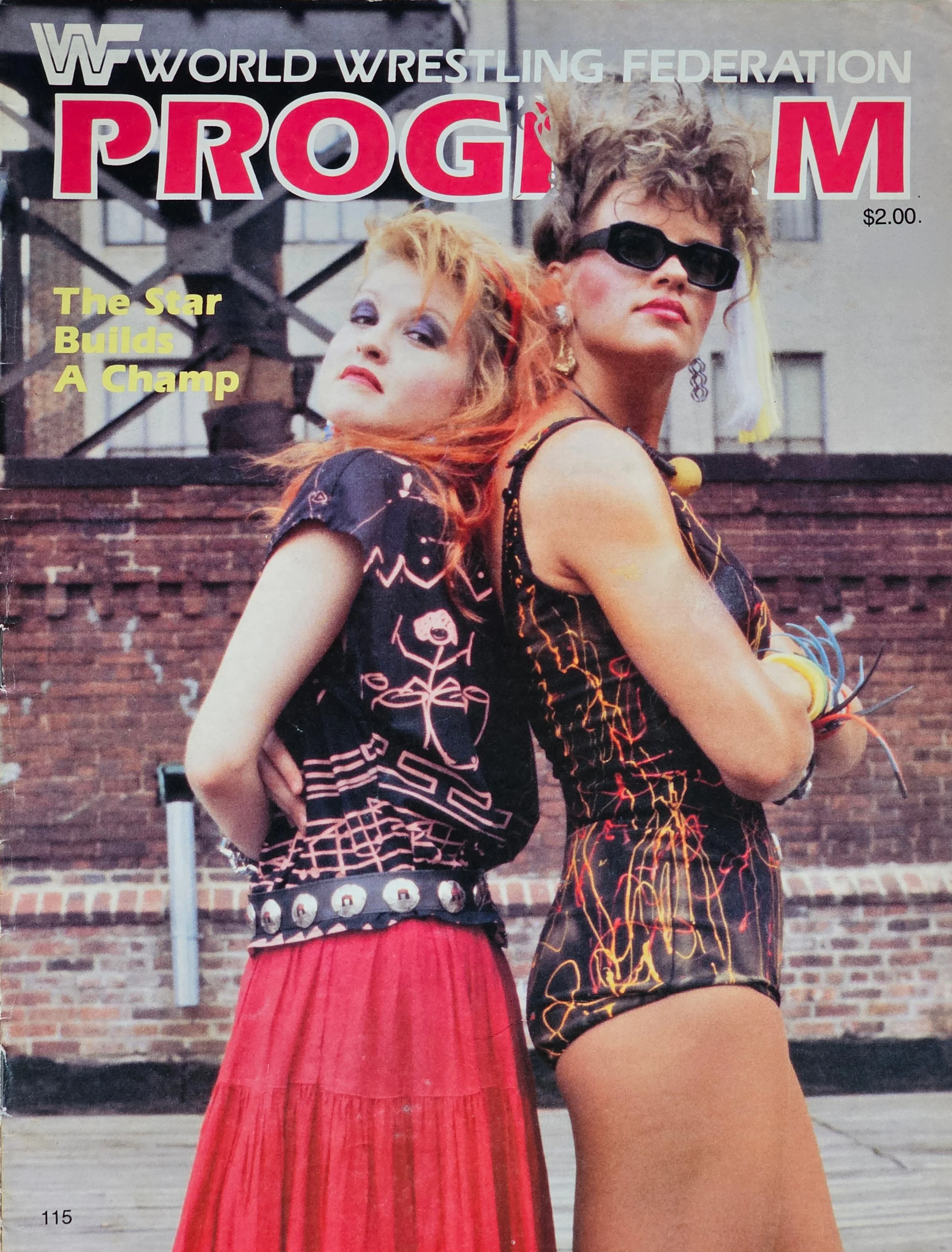  World Wrestling Federation Program  
August 1984 
America