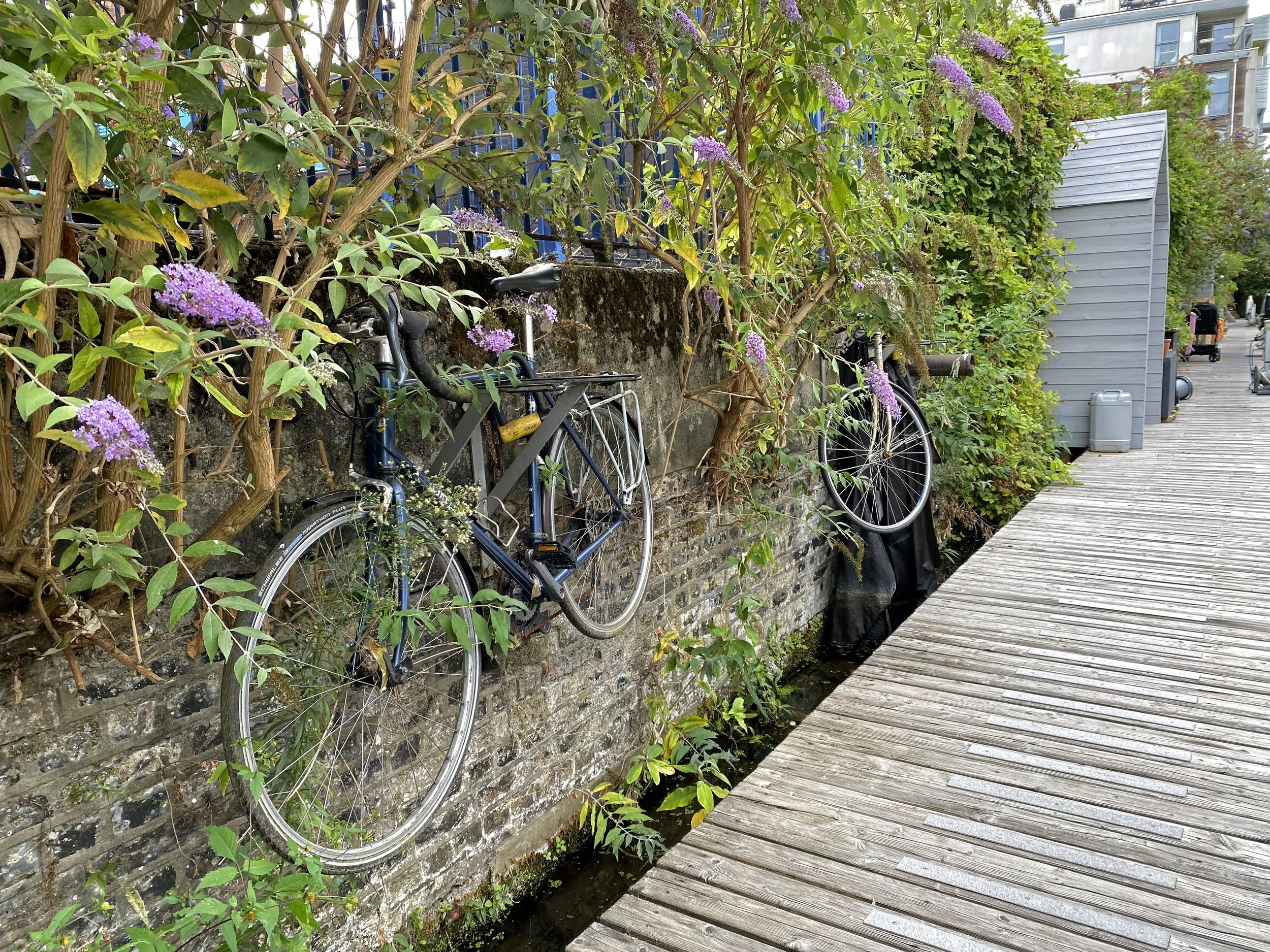 Bike wall.jpg