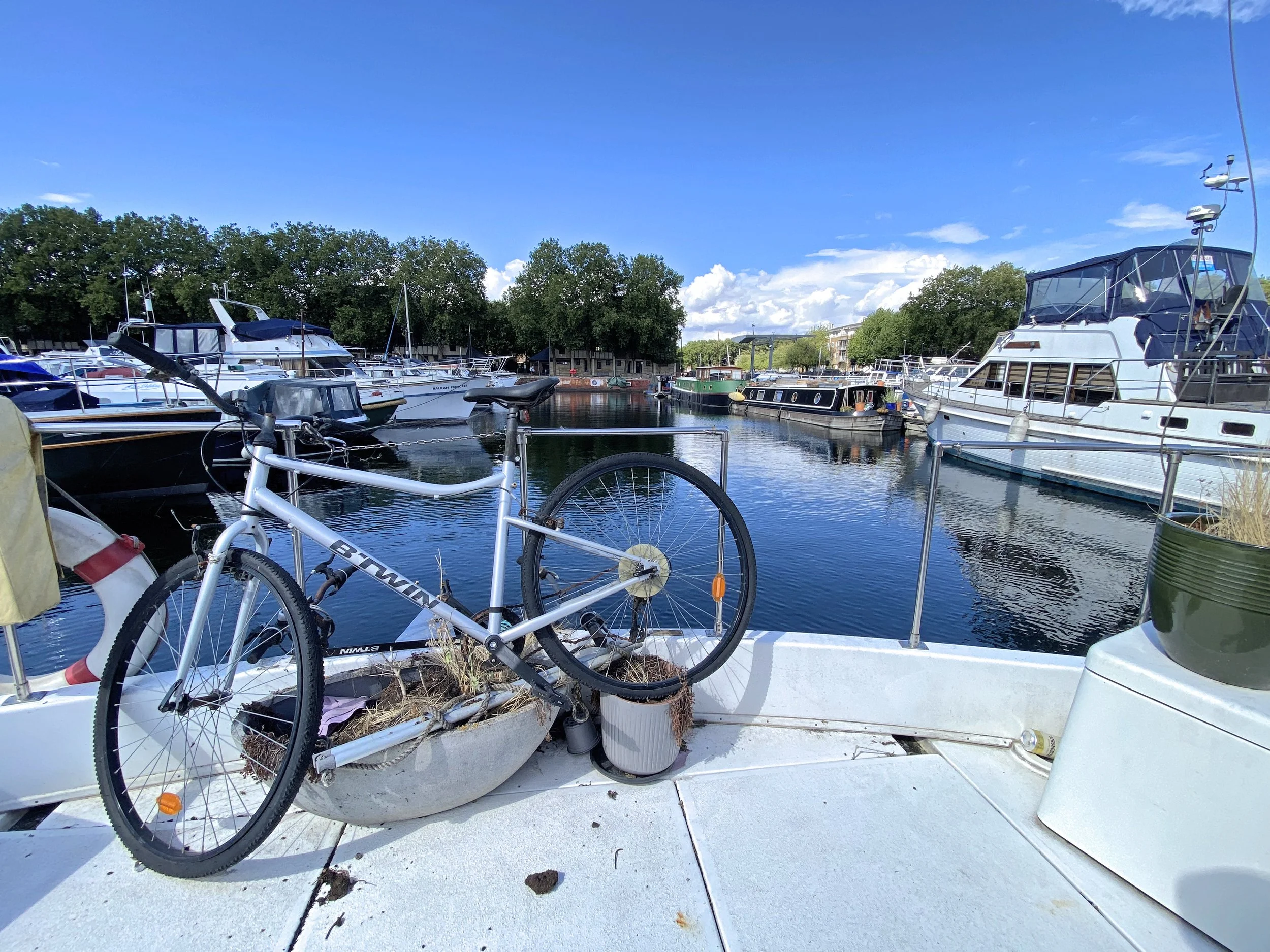 Bike.jpg