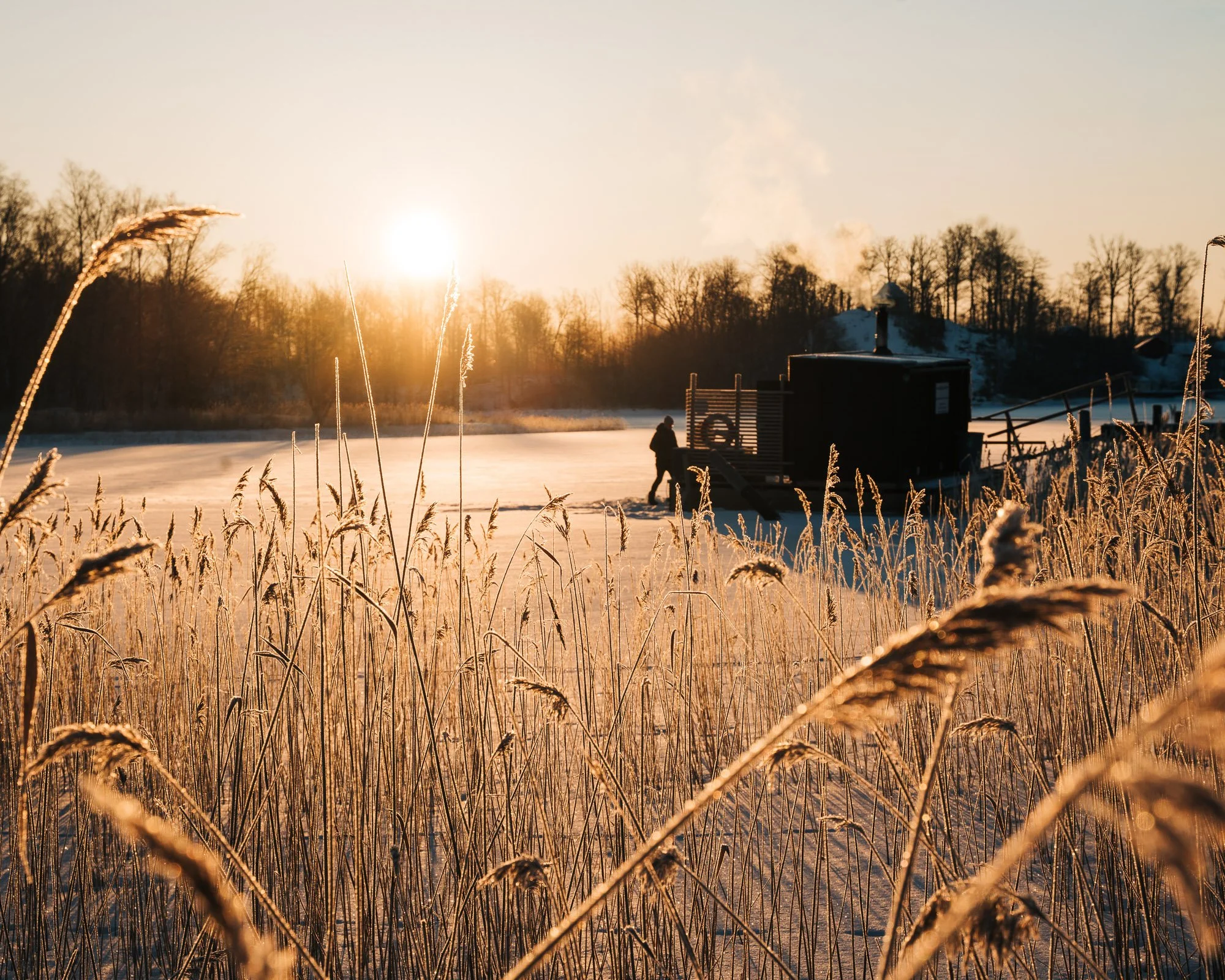Sun setting over snow-covered grass and a frozen lake with trees and houses in the background, smoke rising from a chimney.
