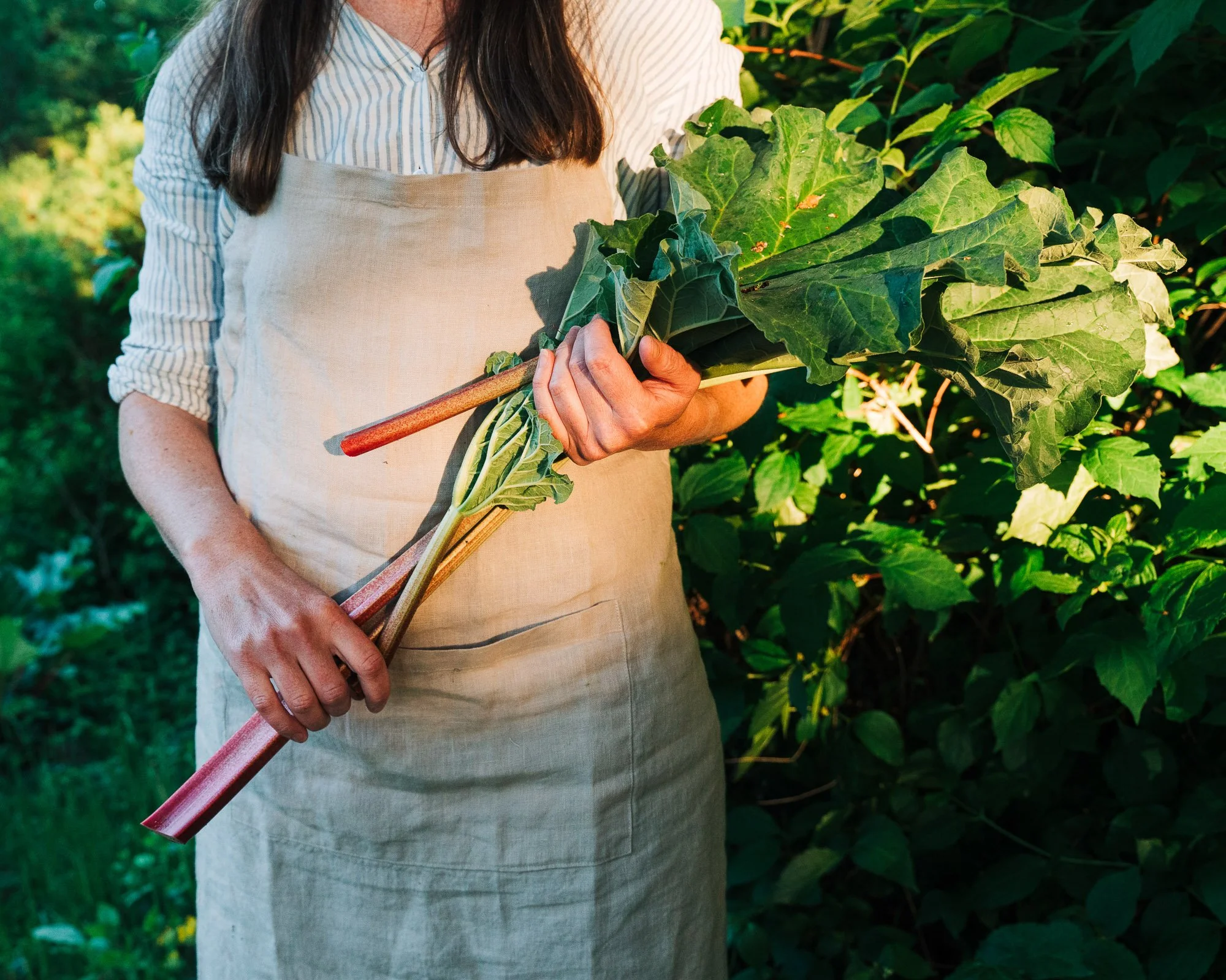 A person standing outdoors holding a large leafy green plant, possibly a bundle of greens, with sunlight illuminating the scene.