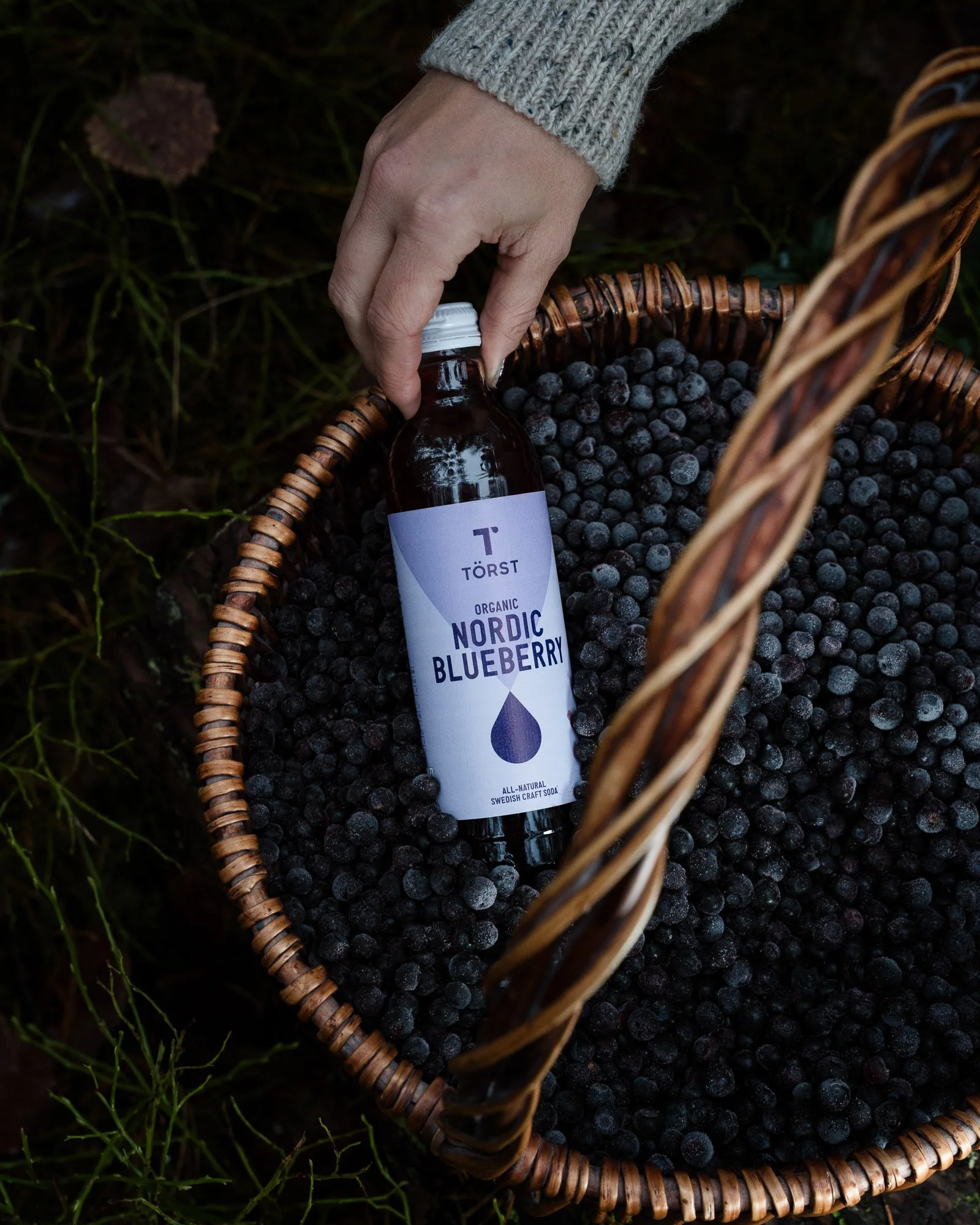 A hand reaching into a wicker basket filled with blueberries, with a bottle of organic Nordic blueberry soda being placed into the basket, situated on grass and soil.