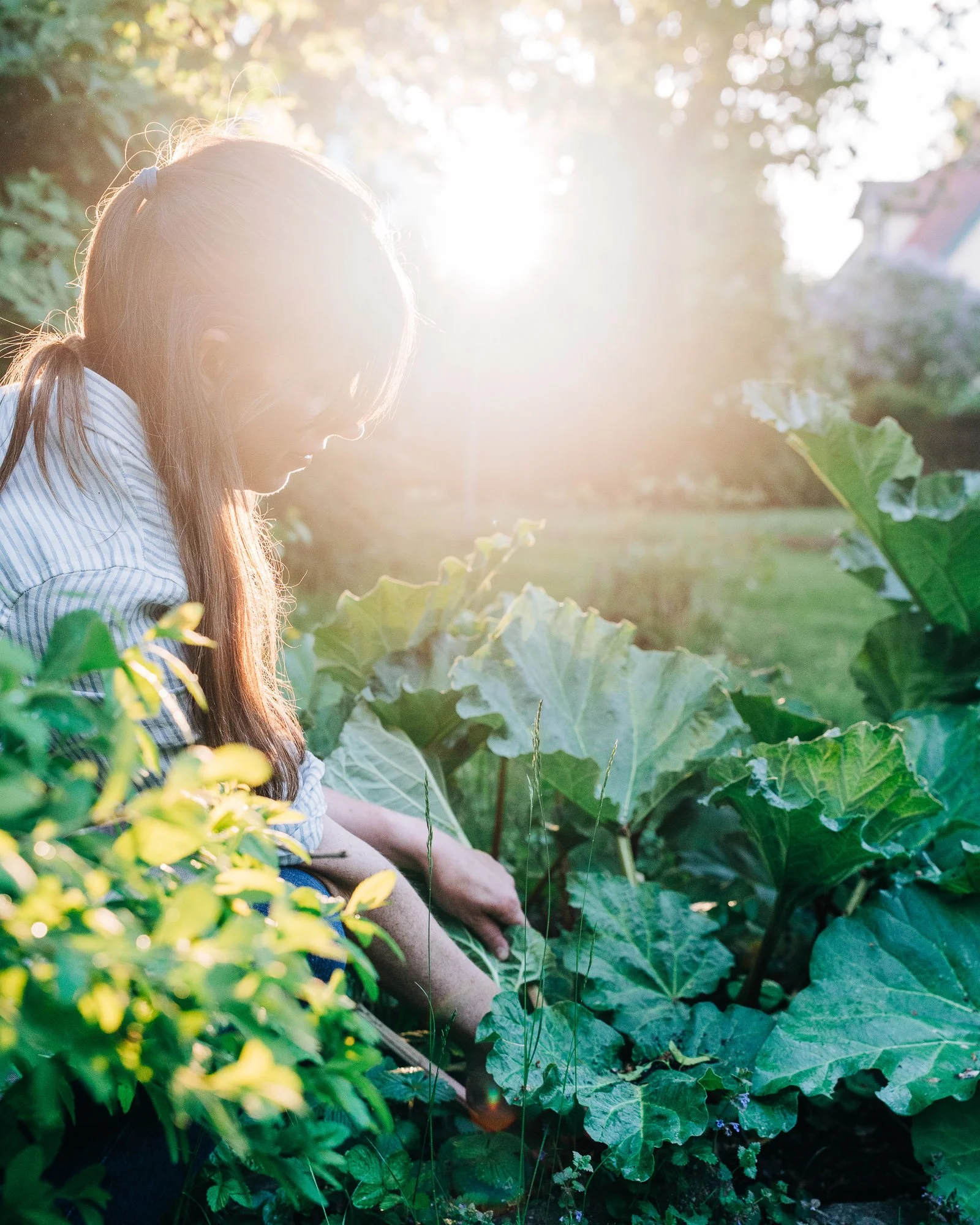 A young girl with long brown hair tied in pigtails, wearing a striped shirt, sitting outdoors among large green leaves with sunlight shining brightly in the background.