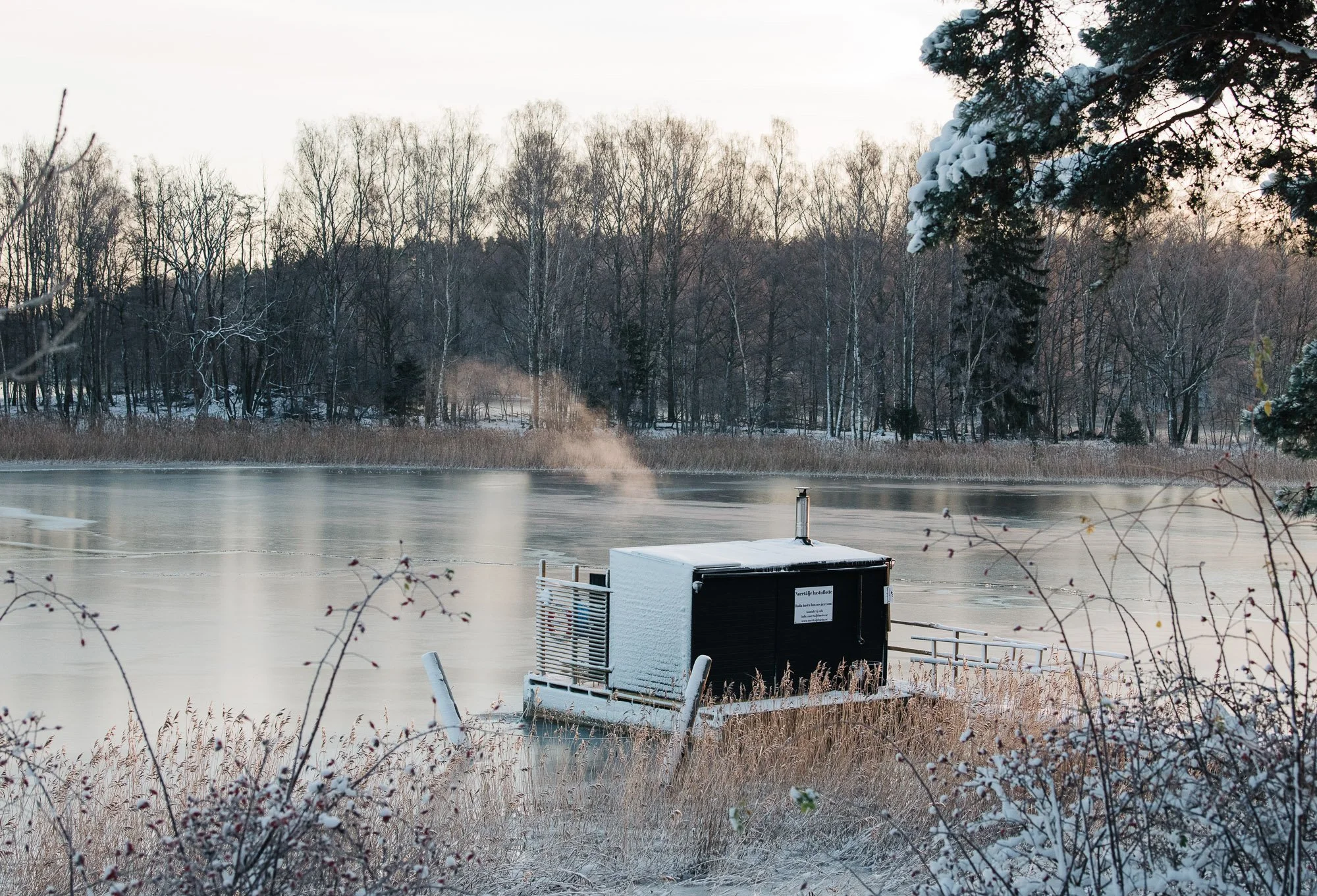 Frozen lake with a small white boat on the shore, surrounded by brown grasses and winter trees with snow-covered branches.