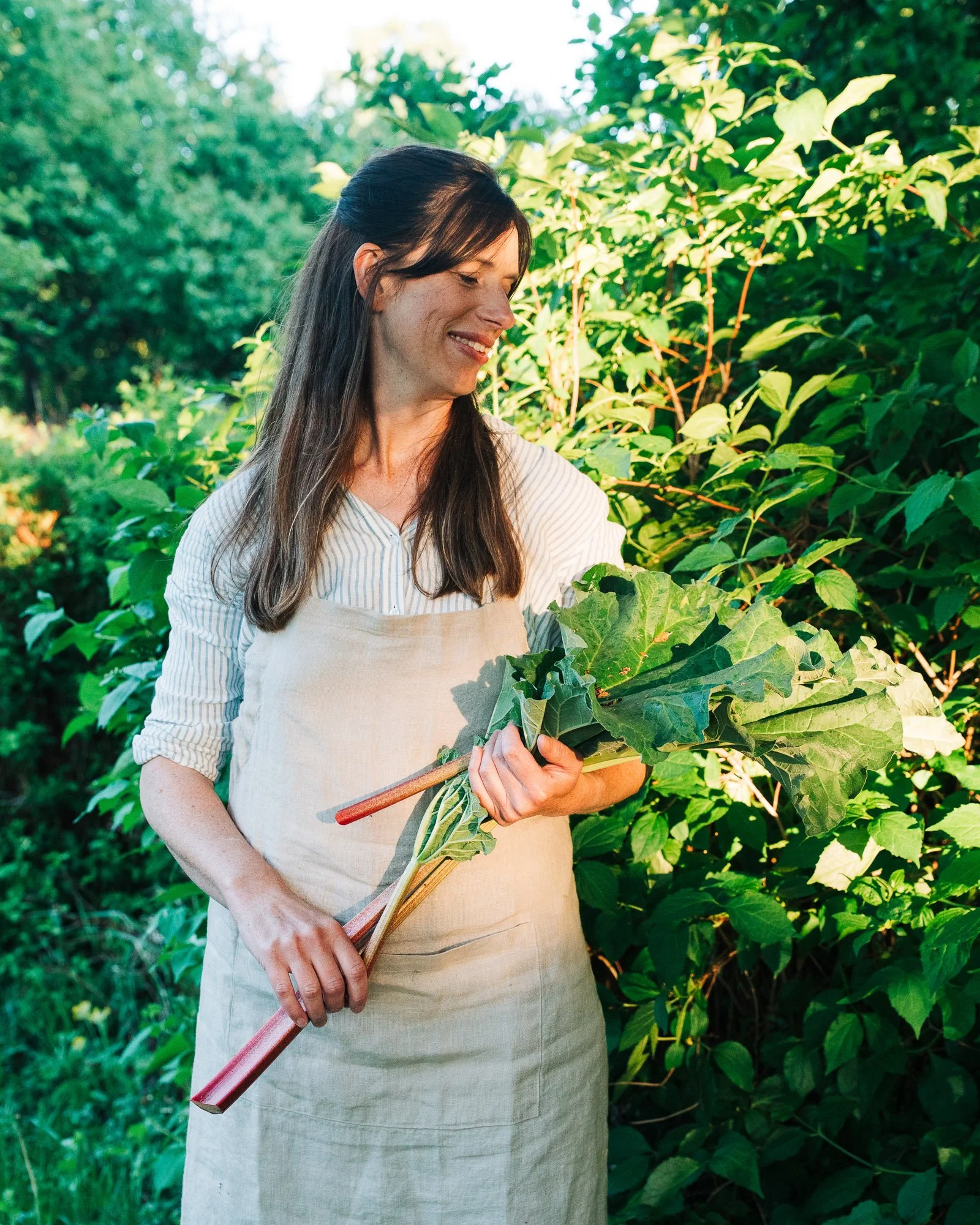 A woman in a beige apron harvesting green leafy vegetables in a garden with lush green plants in the background.