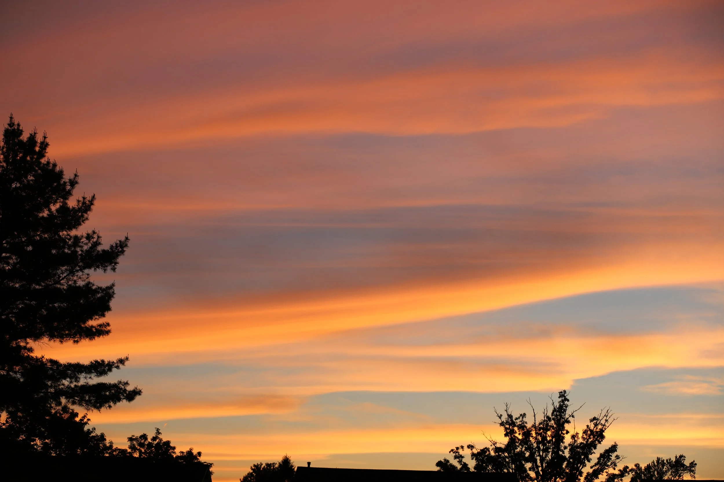Ann Arbor Night Sky