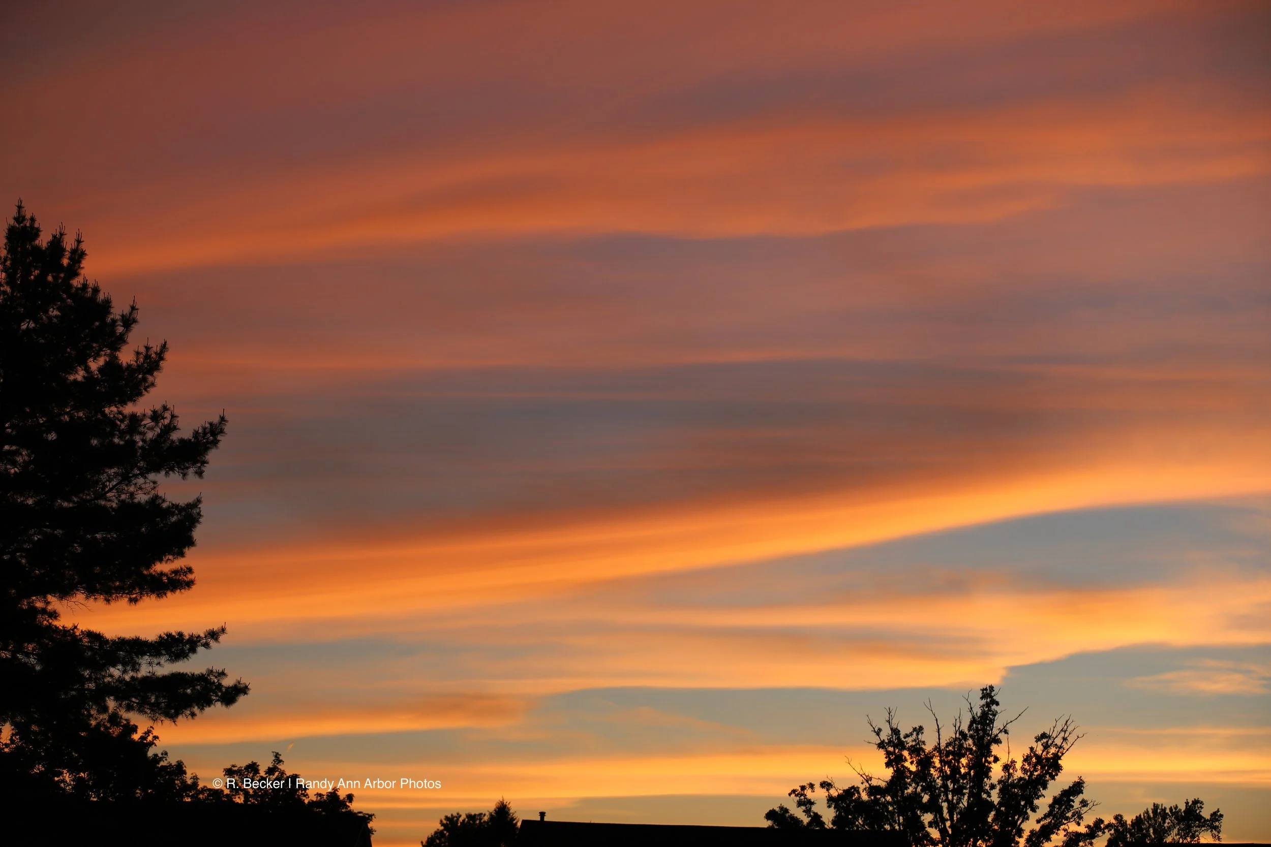 Ann Arbor Night Sky