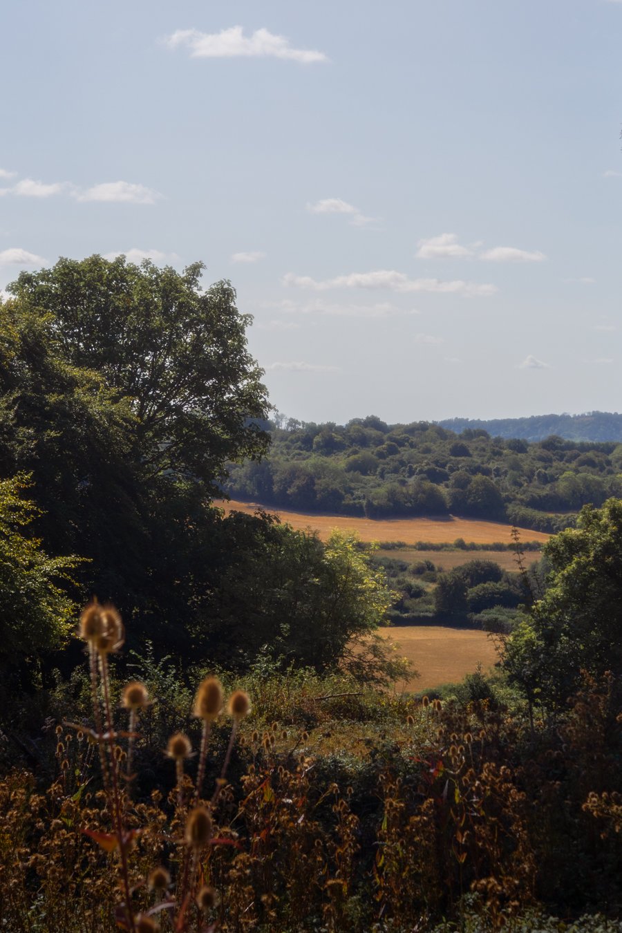 Scenic view of rolling hills, trees, and open fields under a partly cloudy sky.