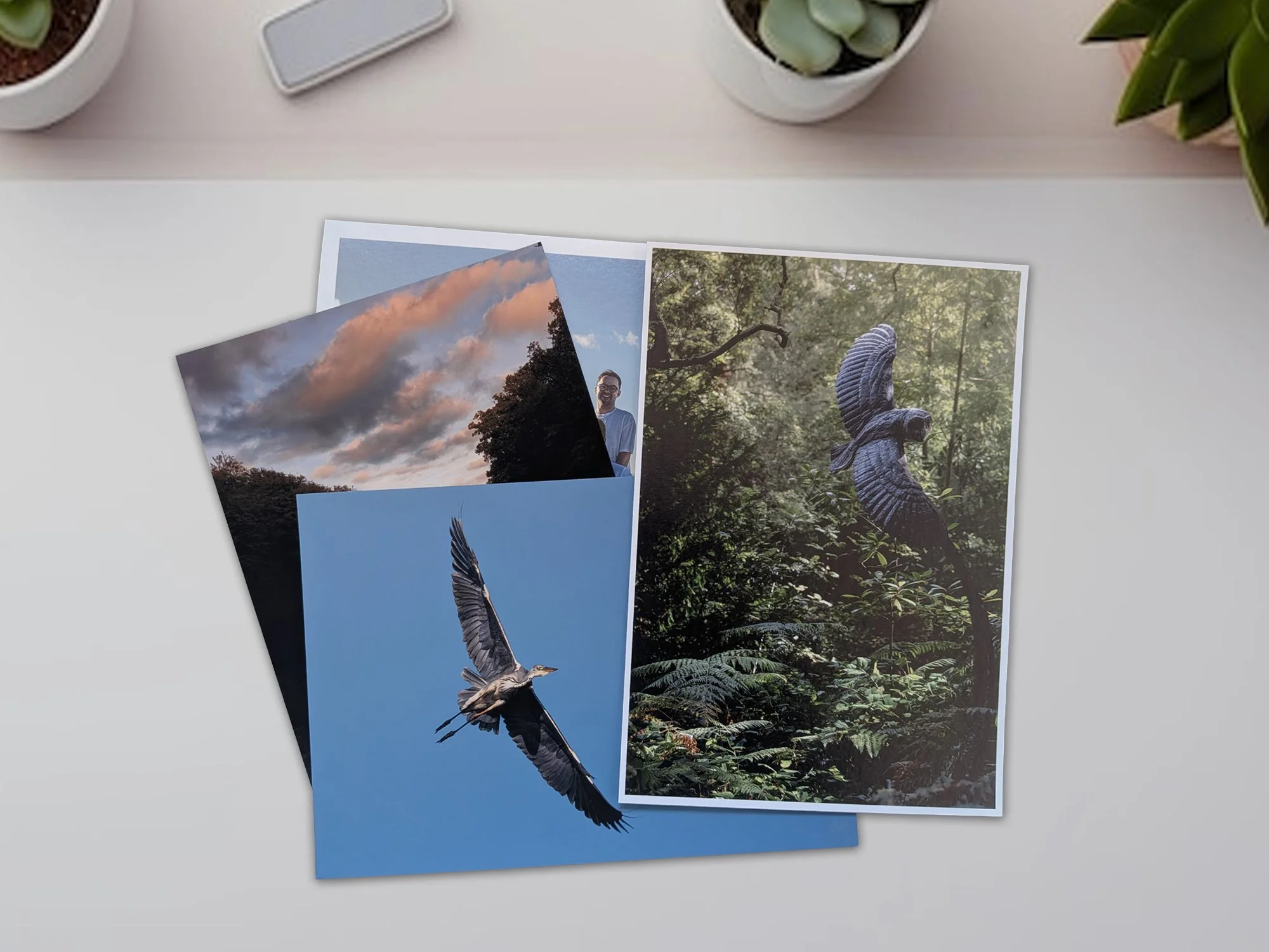 The Art of the Fine Detail: Why Giclée Printing Elevates Woodland and Wildlife Photography