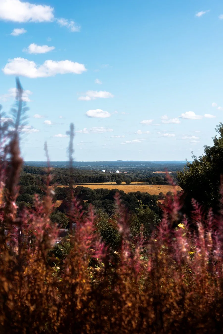 Scenic landscape with rolling hills, fields, and trees under a partly cloudy blue sky.