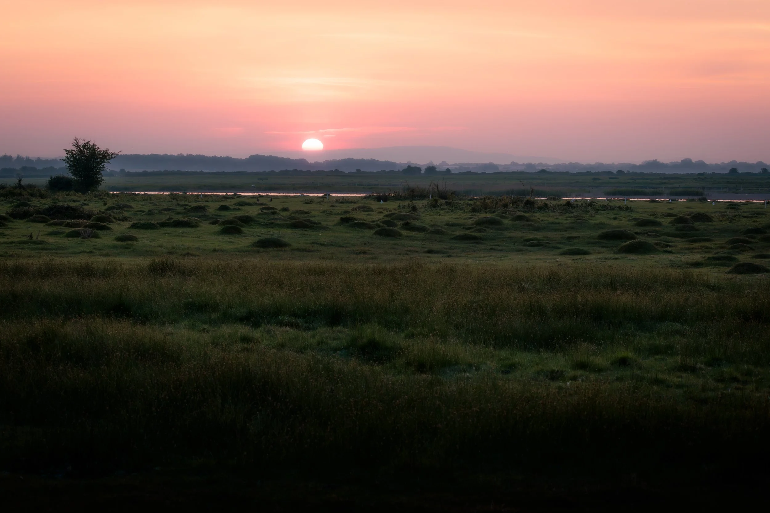 Sunset over a grassy field with a river, trees, and distant hills under a pink and orange sky.
