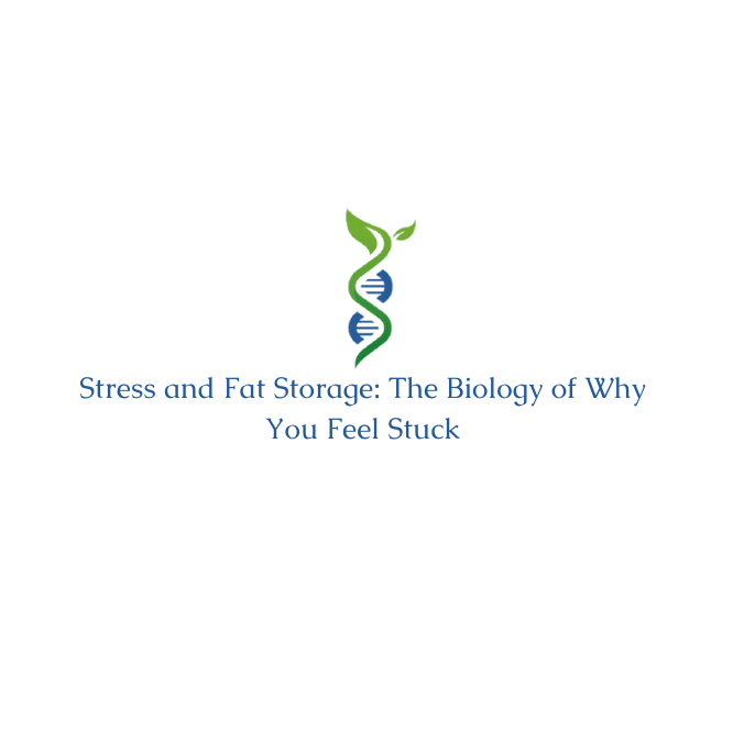 Stress and Fat Storage: The Biology of Why You Feel Stuck