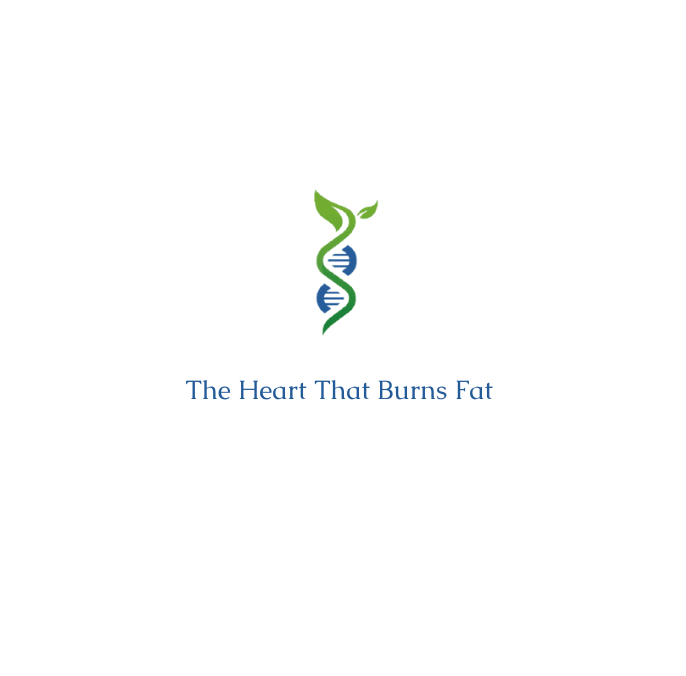 The Heart That Burns Fat: How Insulin Resistance Steals Its Energy and How to Get It Back