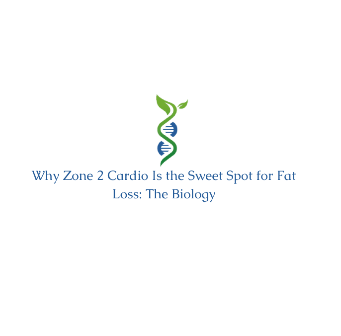 Why Zone 2 Cardio Is the Sweet Spot for Fat Loss: The Biology