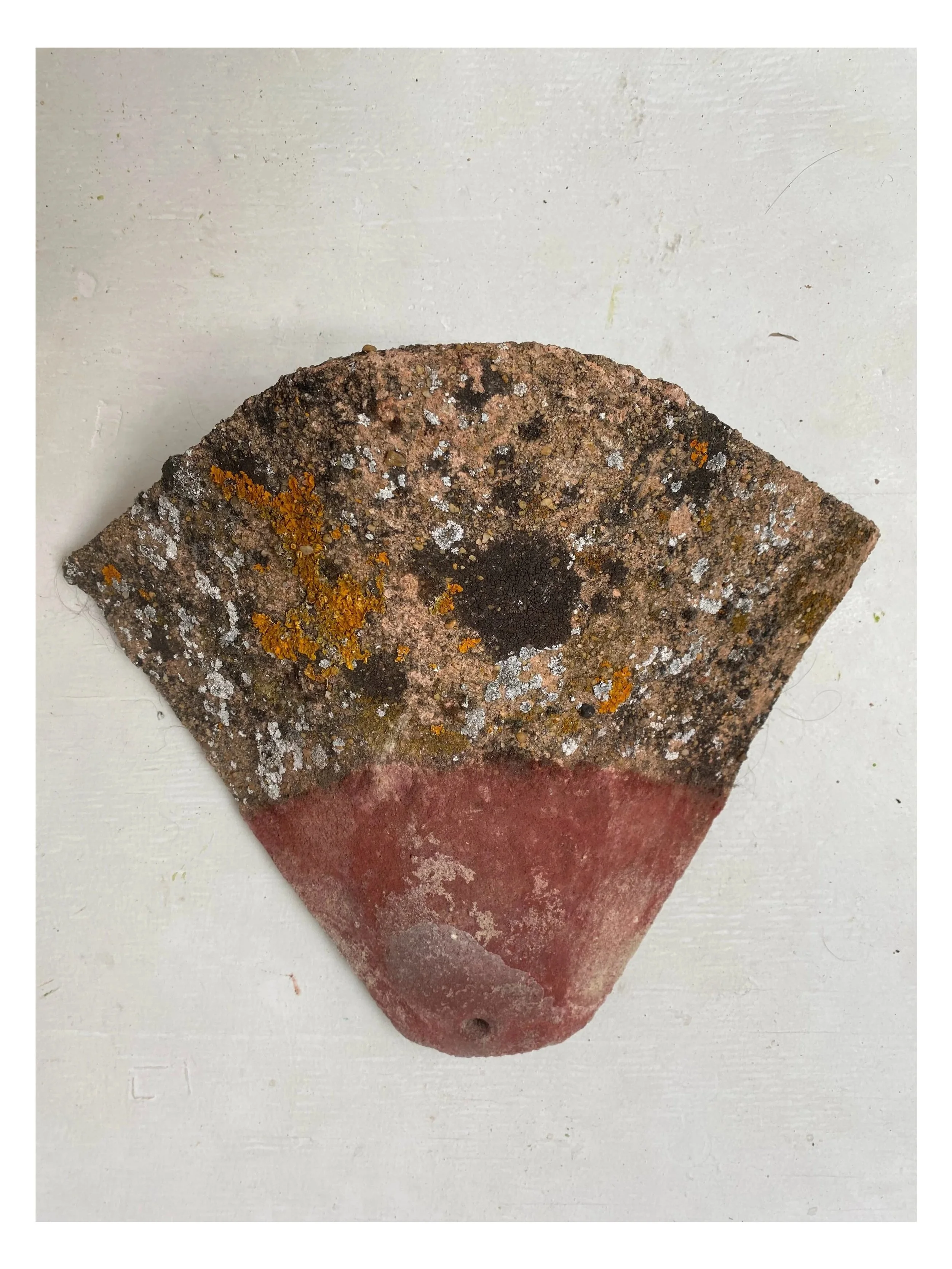 Lite Years
2026
Found lichen-covered clay corner roof tile

A broken corner roof tile carries a slow accumulation of lichen across its fired-clay surface. Removed from the building it once protected, the fragment becomes a light fitting, a small habi