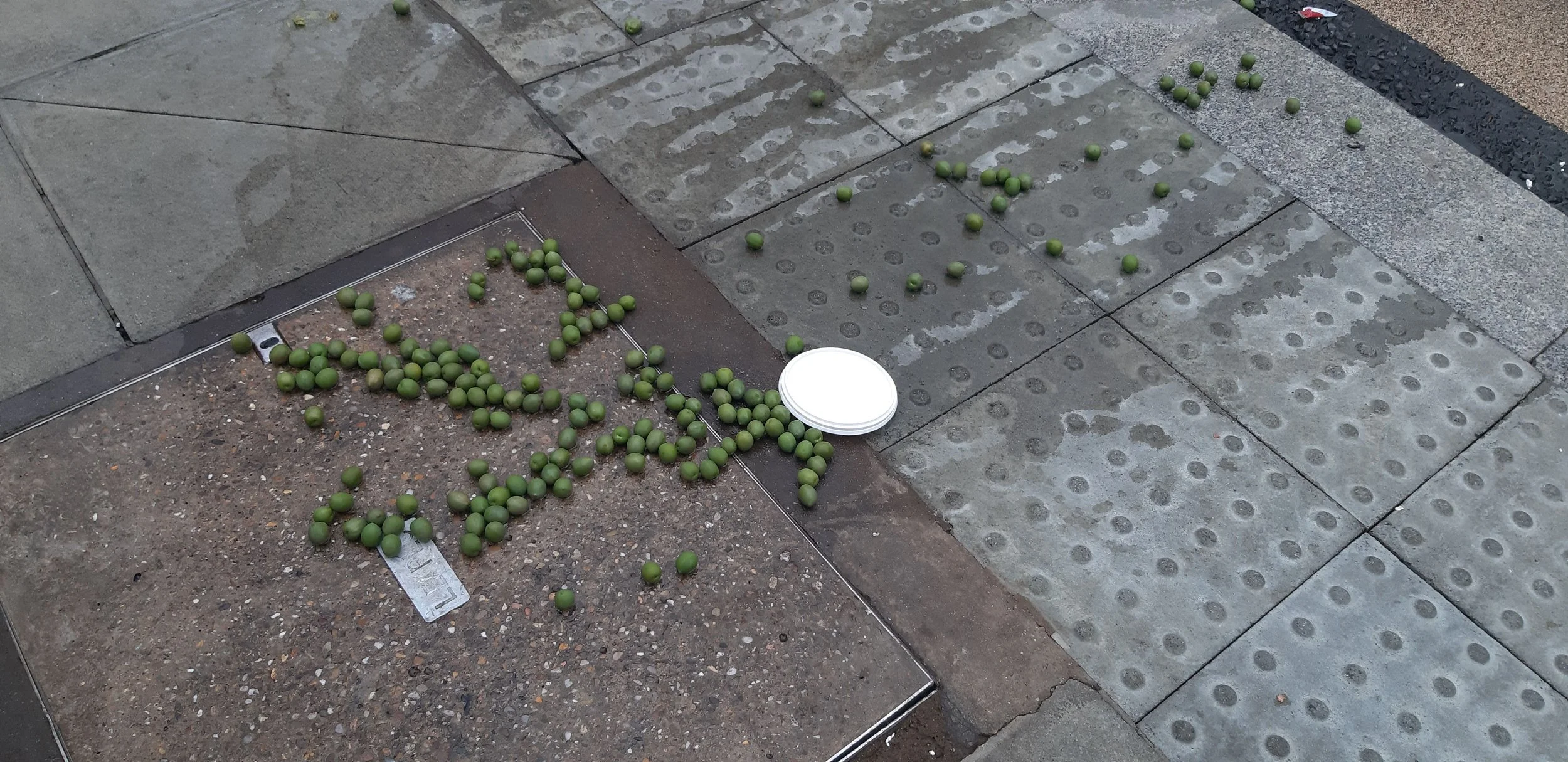 Accidental Constellation, Digital Photograph 20.4 × 42 cm 2021.jpg