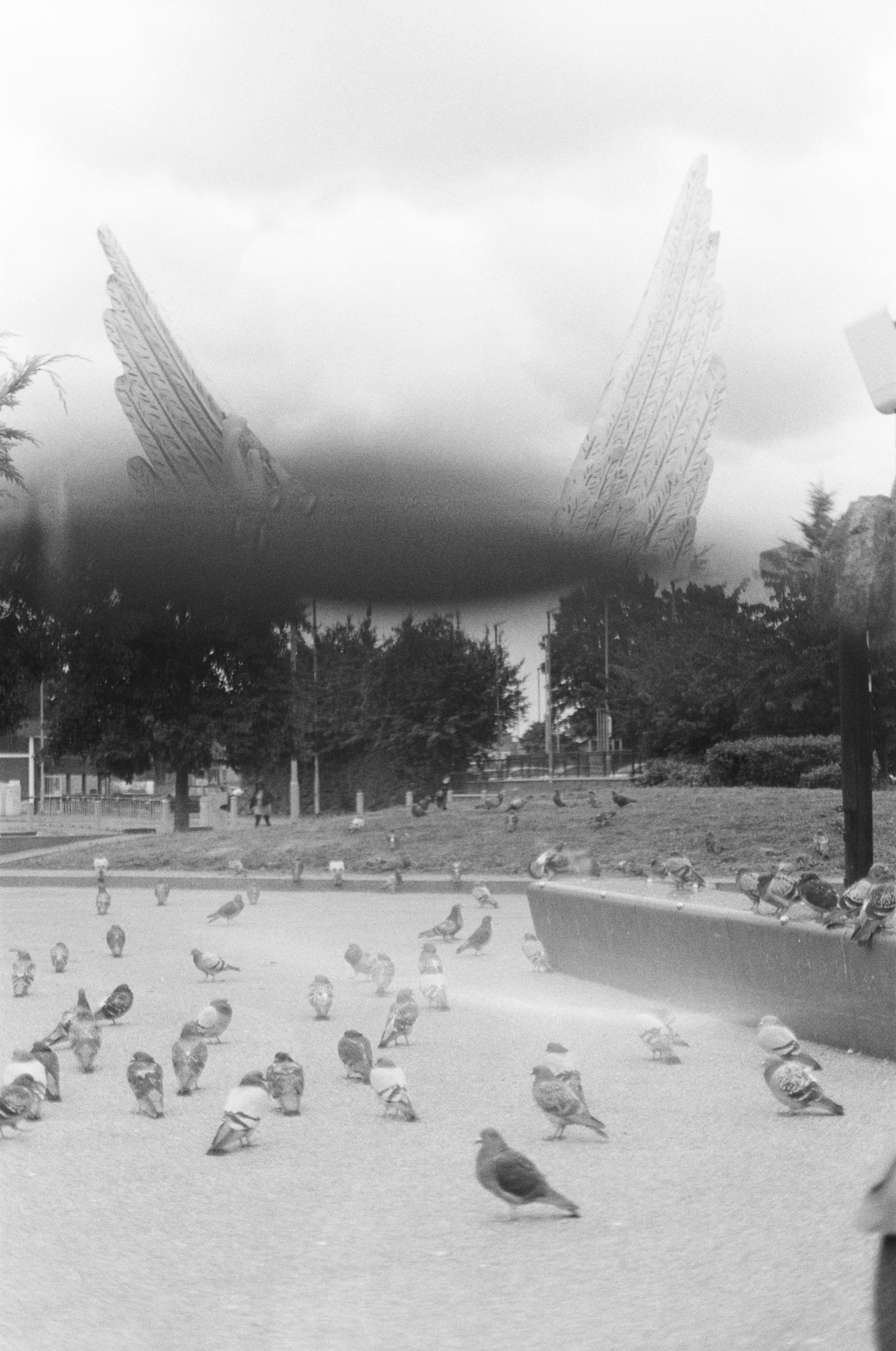 I first exposed the film in my Birthplace - Swiebodzin. The summer of 2024. One year later I exposed the film once again in the City I grew up - Salford. Super imposing elements relating to memory and my families' cultural heritage.