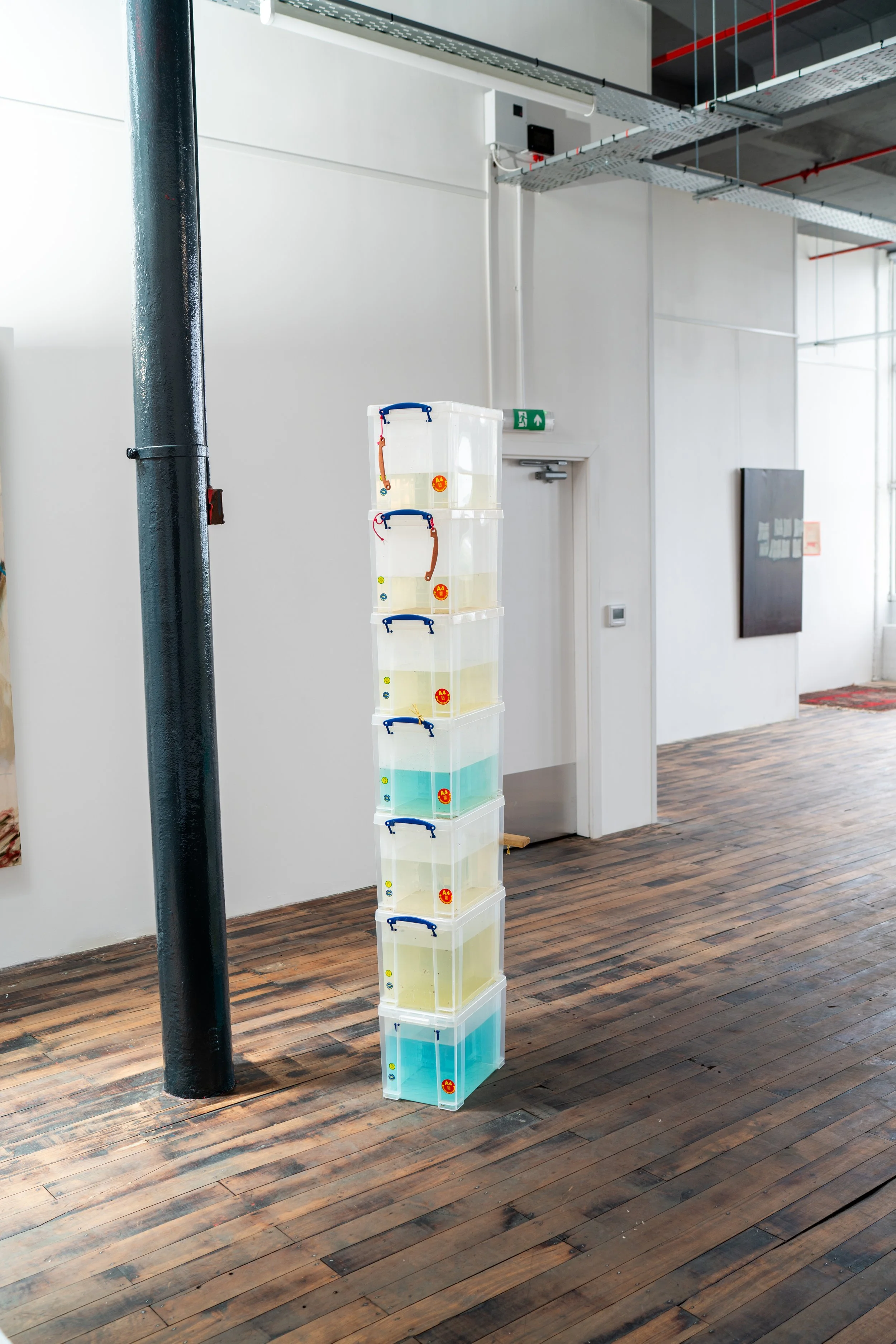 Shown at 1853 Studios as part of group show 'Peripheries' 2026