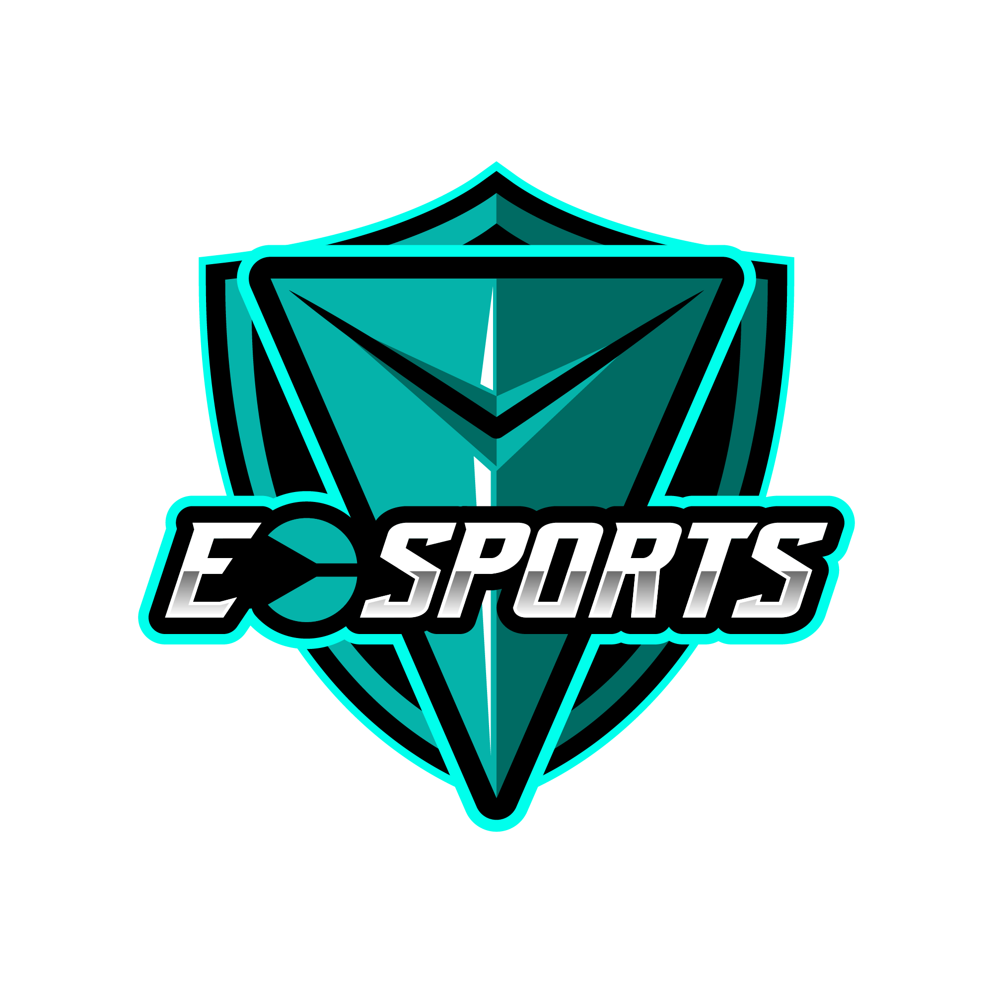 Villeage Esports & Entertainment