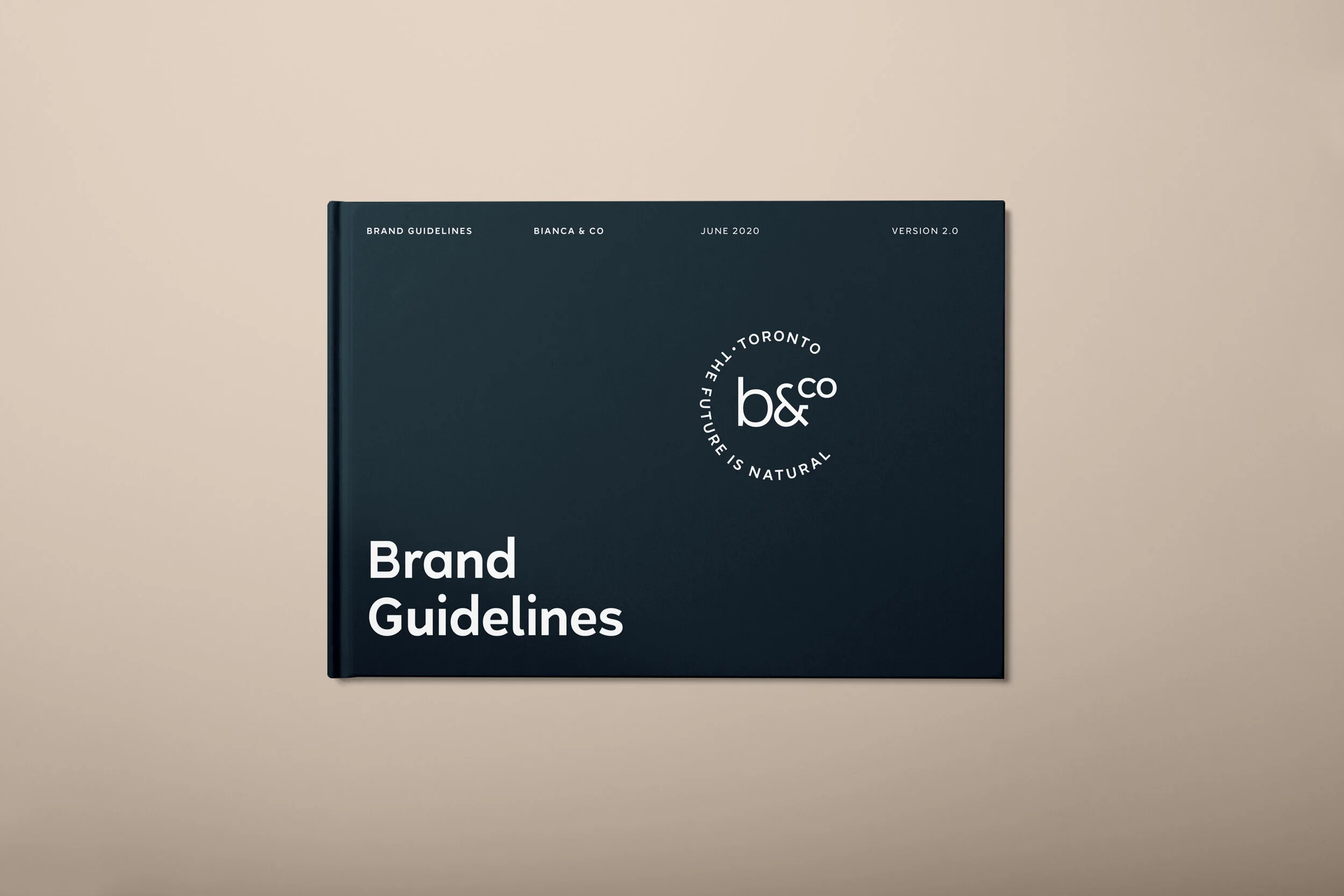 Bianca_brand-guide1.jpg