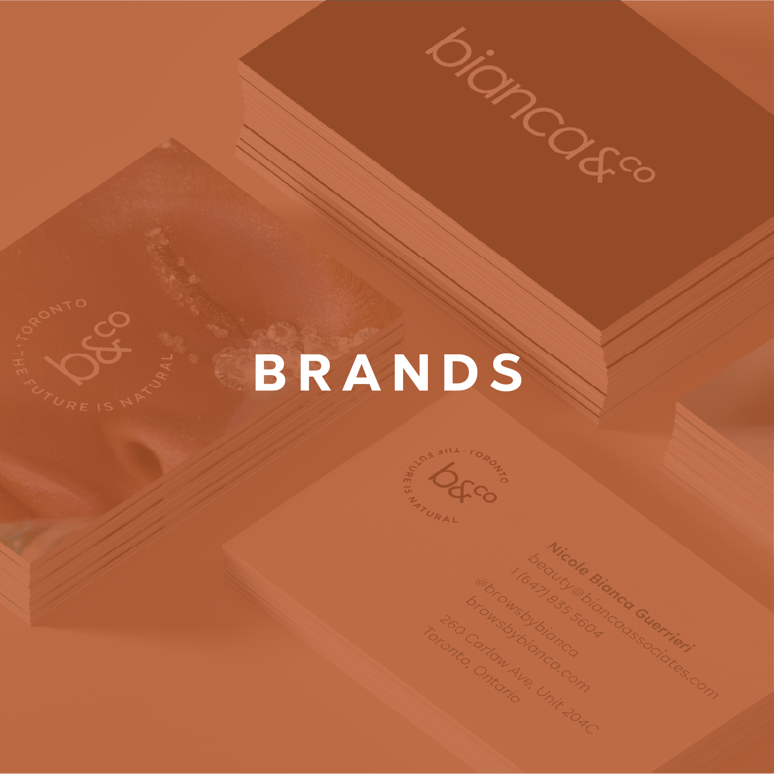 Brand Design and Brand Strategy services Forgather Studio