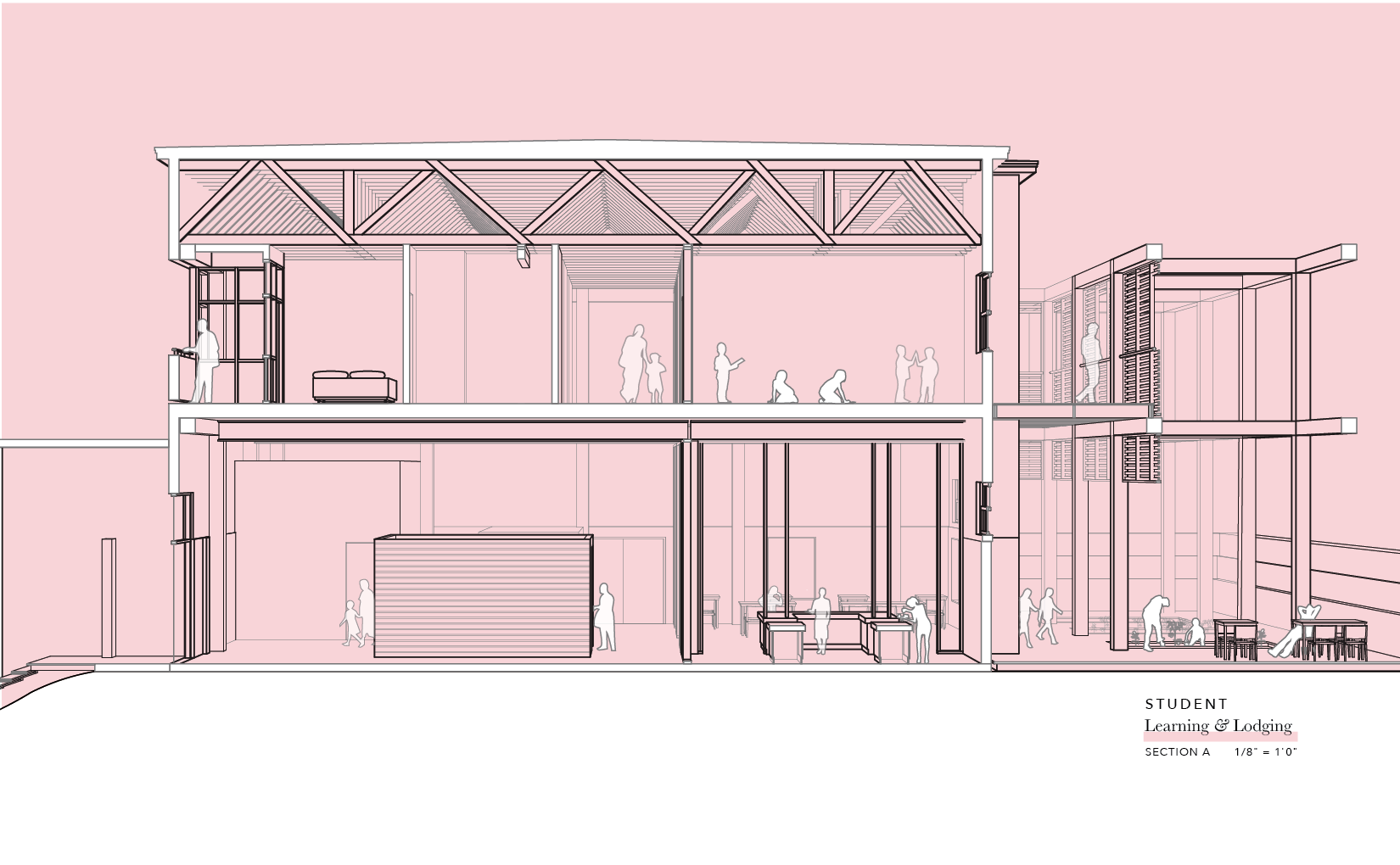 Sections_Program-02.png