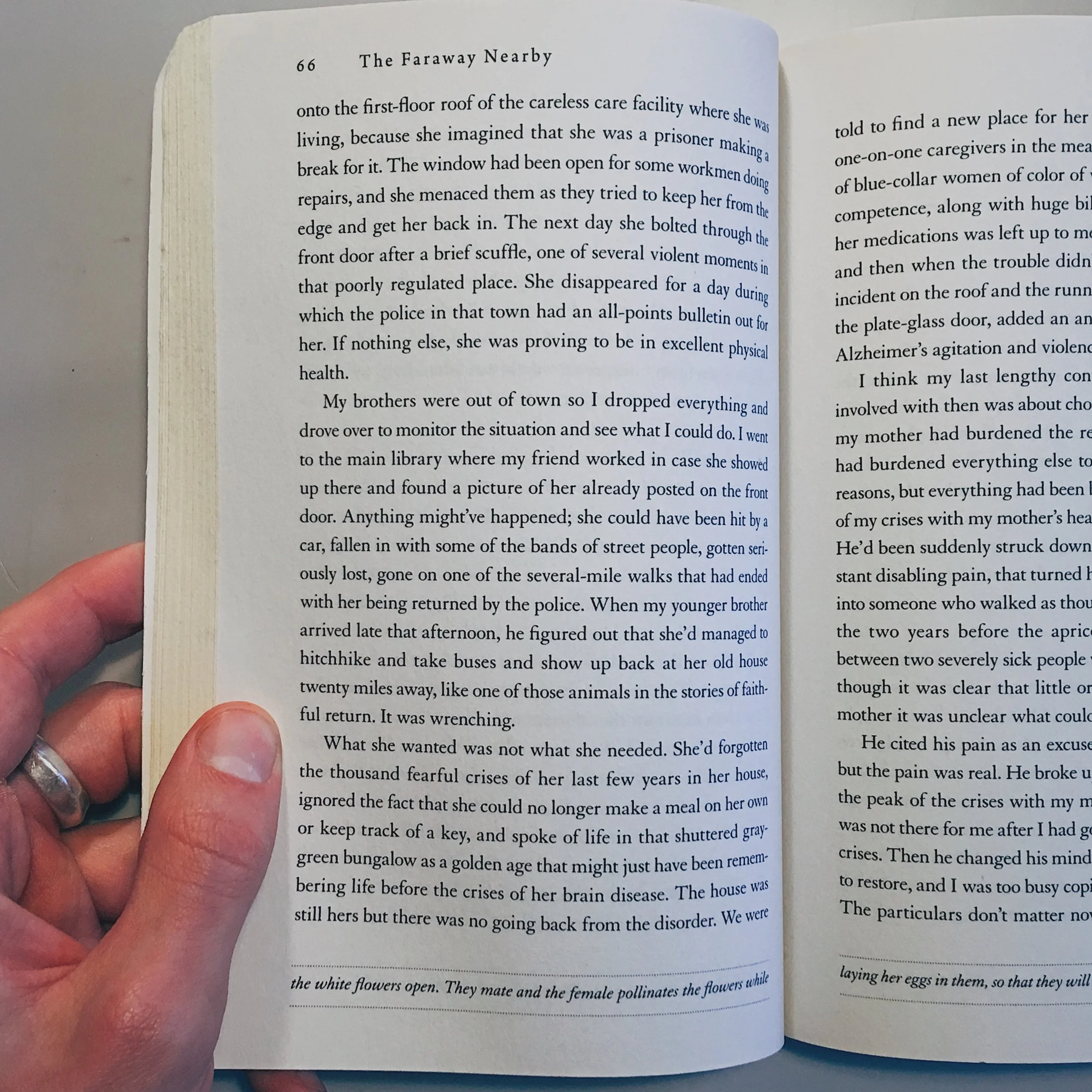 faraway-nearby-rebecca-solnit-interior.jpg