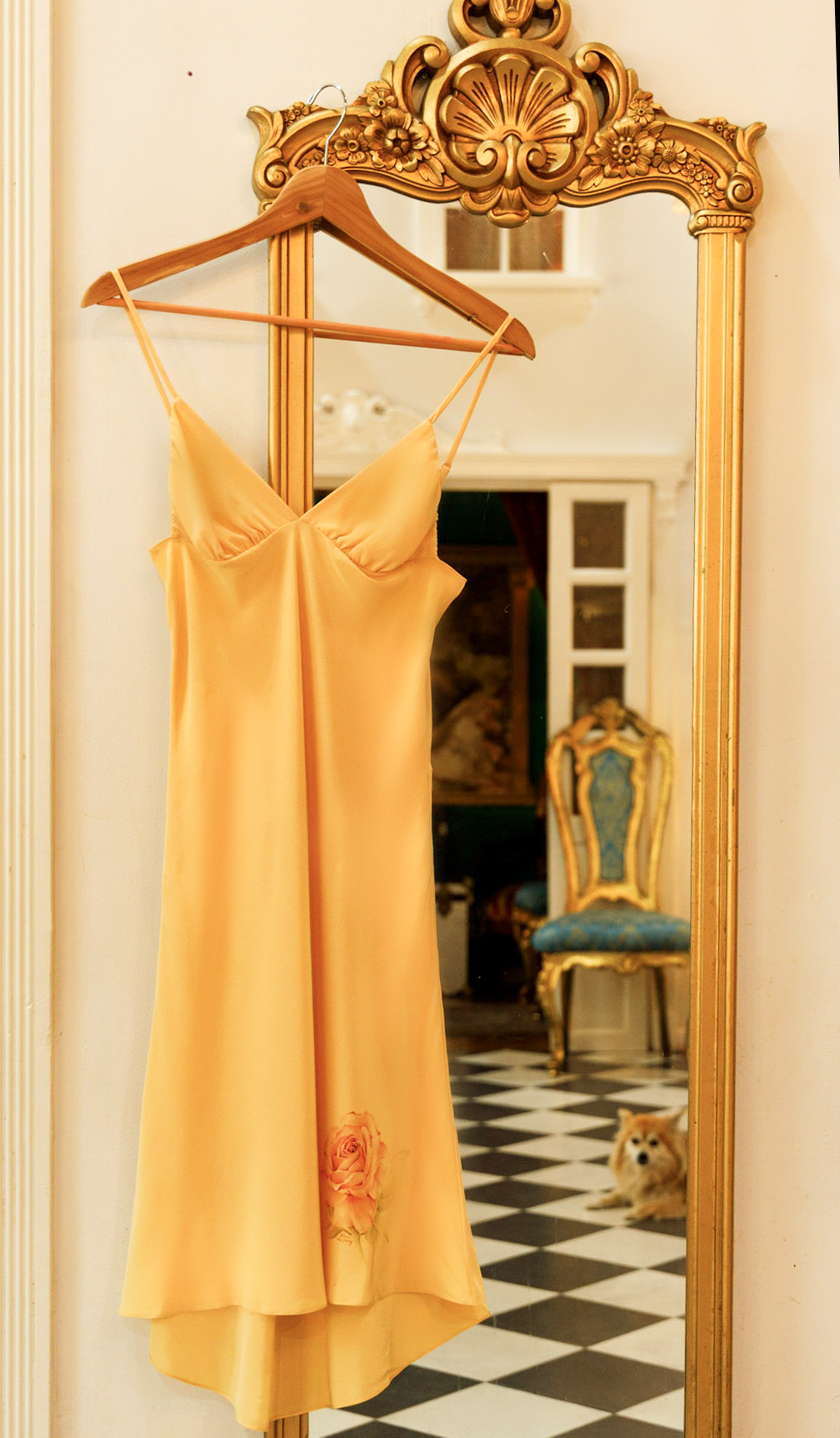 dress on mirror FINAL croppedpsd.png