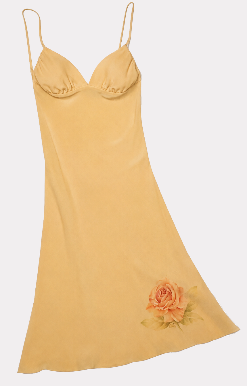 Rosaline slip dress