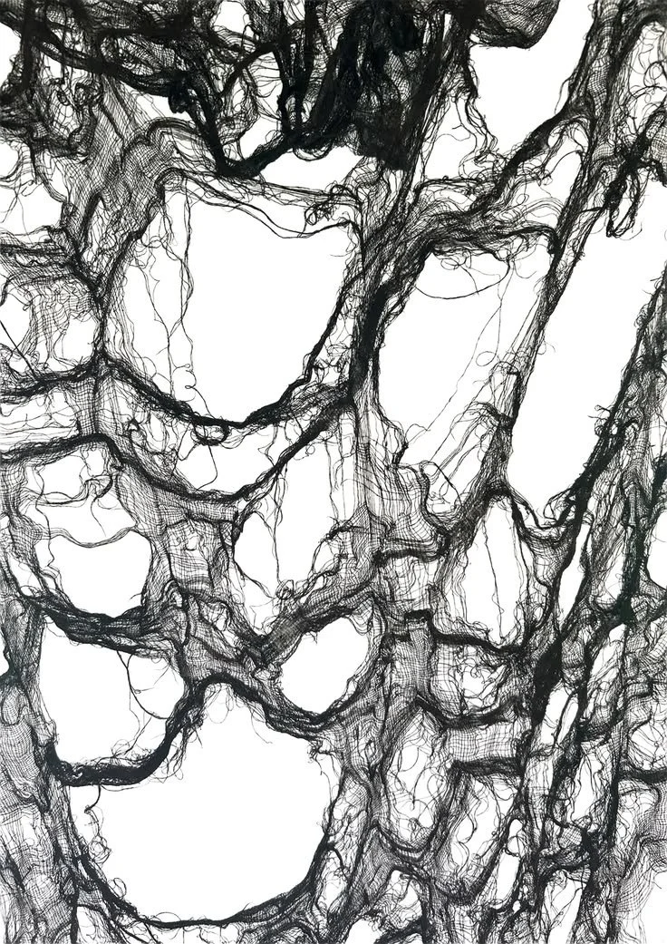 Black ink drawing of intertwined tree branches with white background.