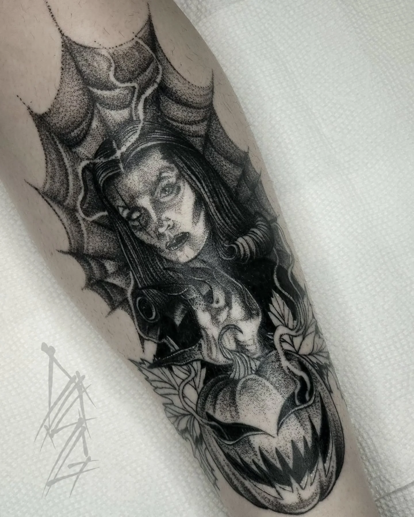 A tribute to the queen her self 𝕬𝖆𝖒𝖕𝖎𝖗𝖆.

*fully healed*

🦇

🦇

🦇

Done using:
@riptattoocare
@fkirons
@kwadron
@allegoryink
@tatsoul

#disengagetattoos #vampira #tattoos #goth #blackworktattoo